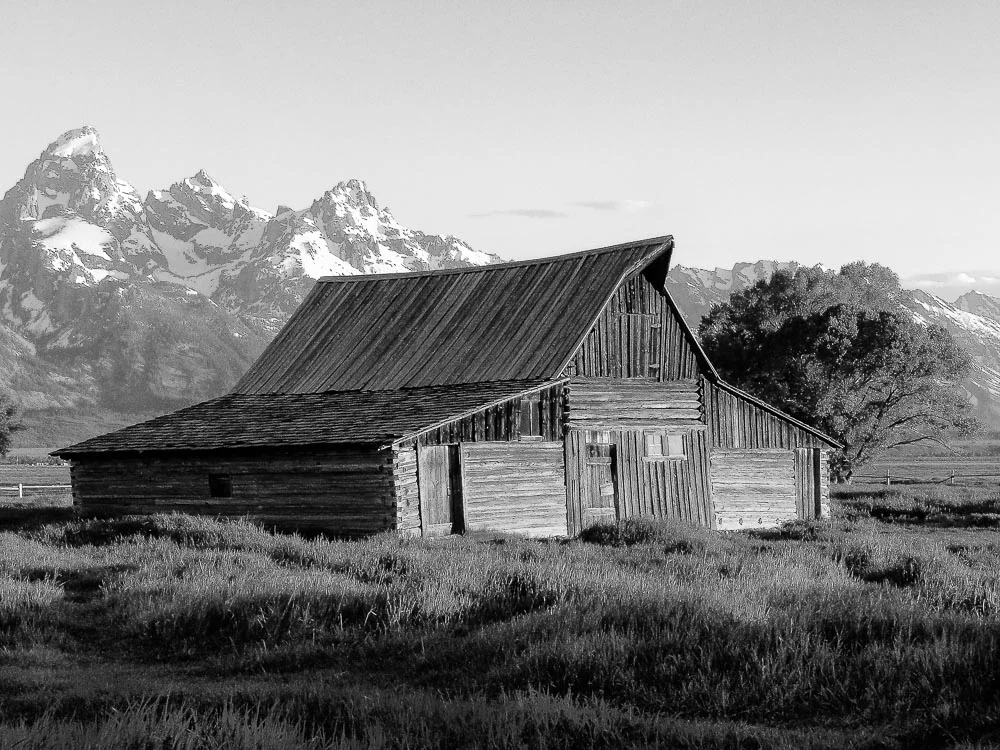 20110501-DSC03146-Edit.jpg