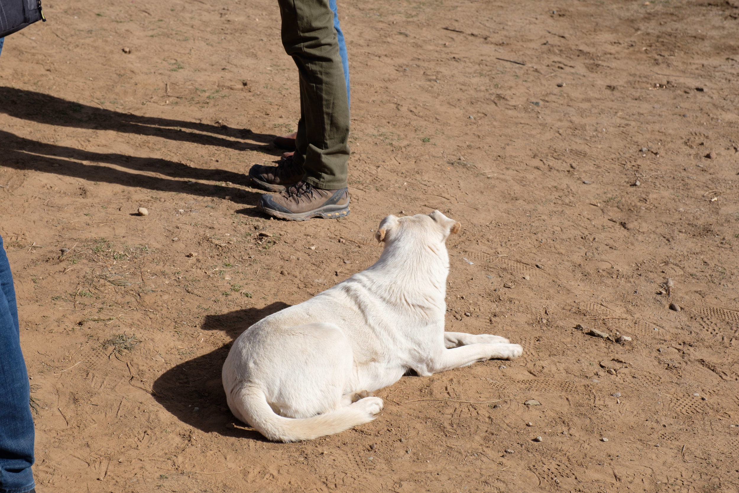 DSCF4855.jpg