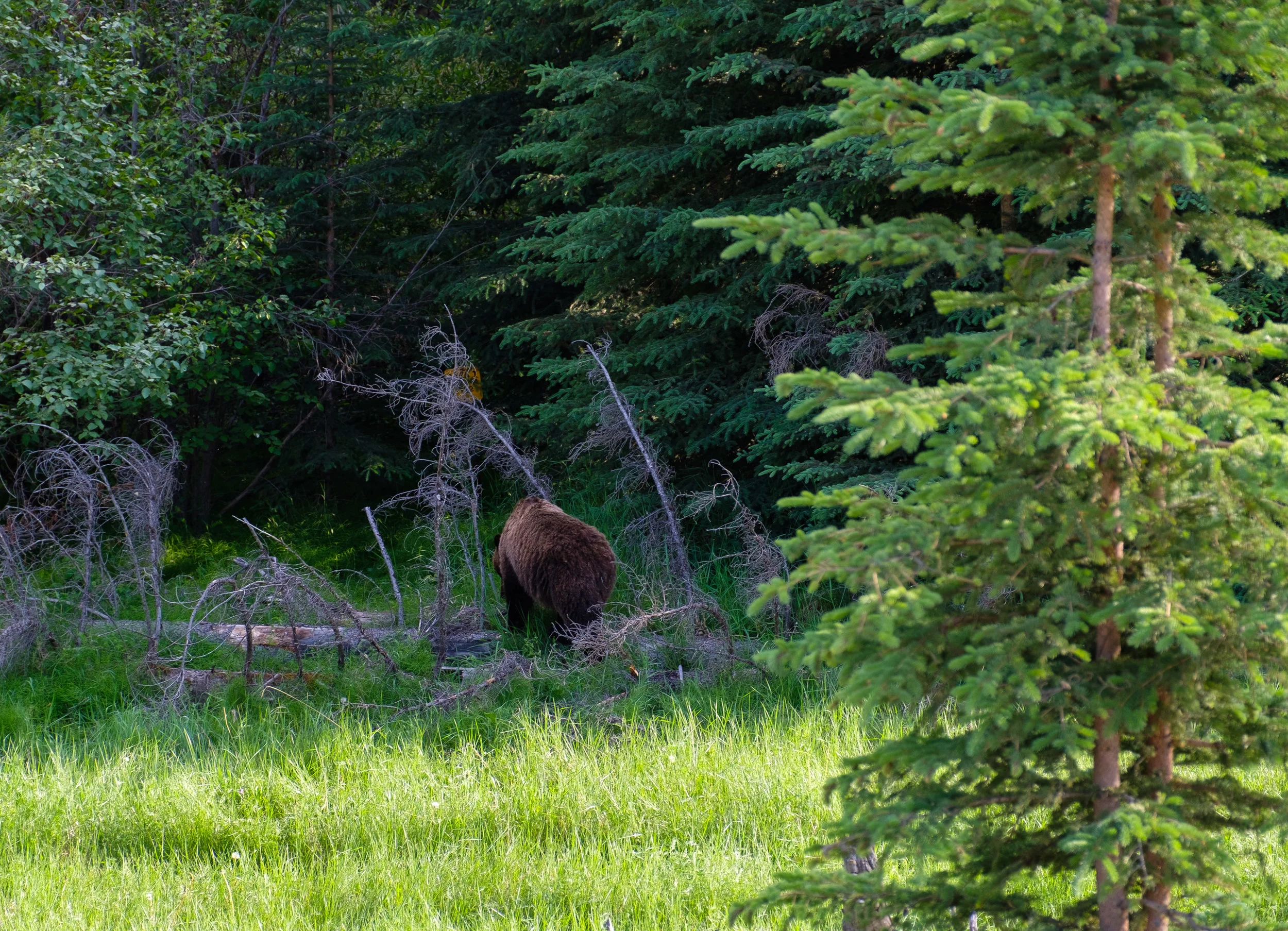 DSCF3658.jpg