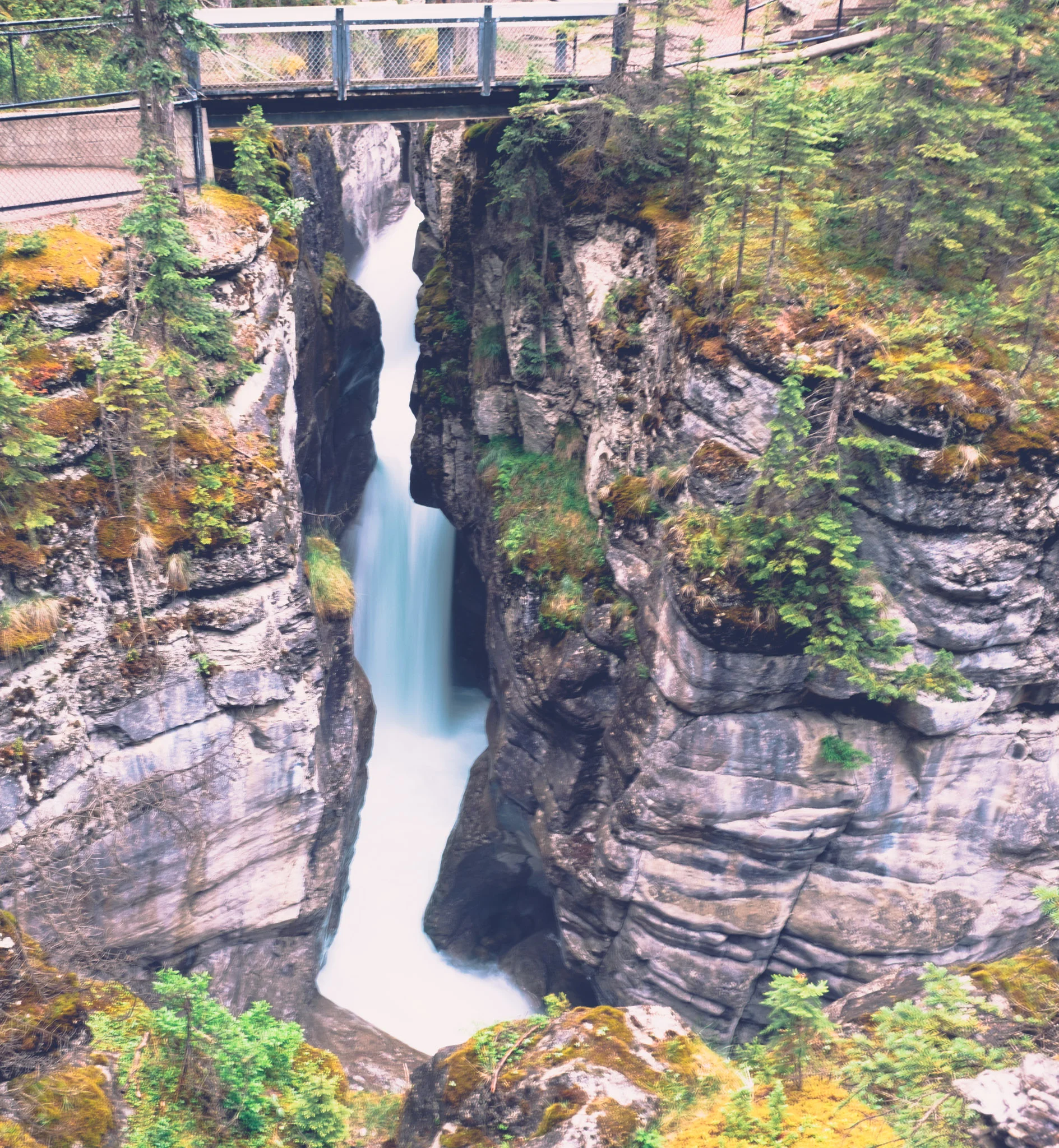 DSCF3780-Edit.jpg