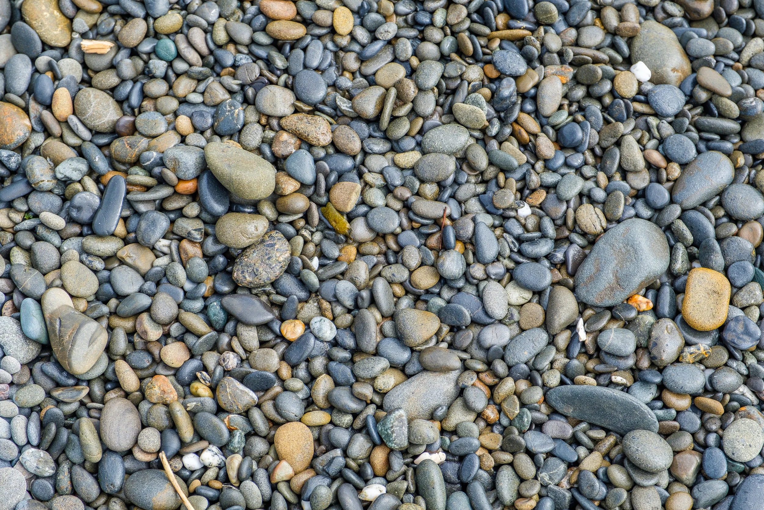 DSCF0344.jpg