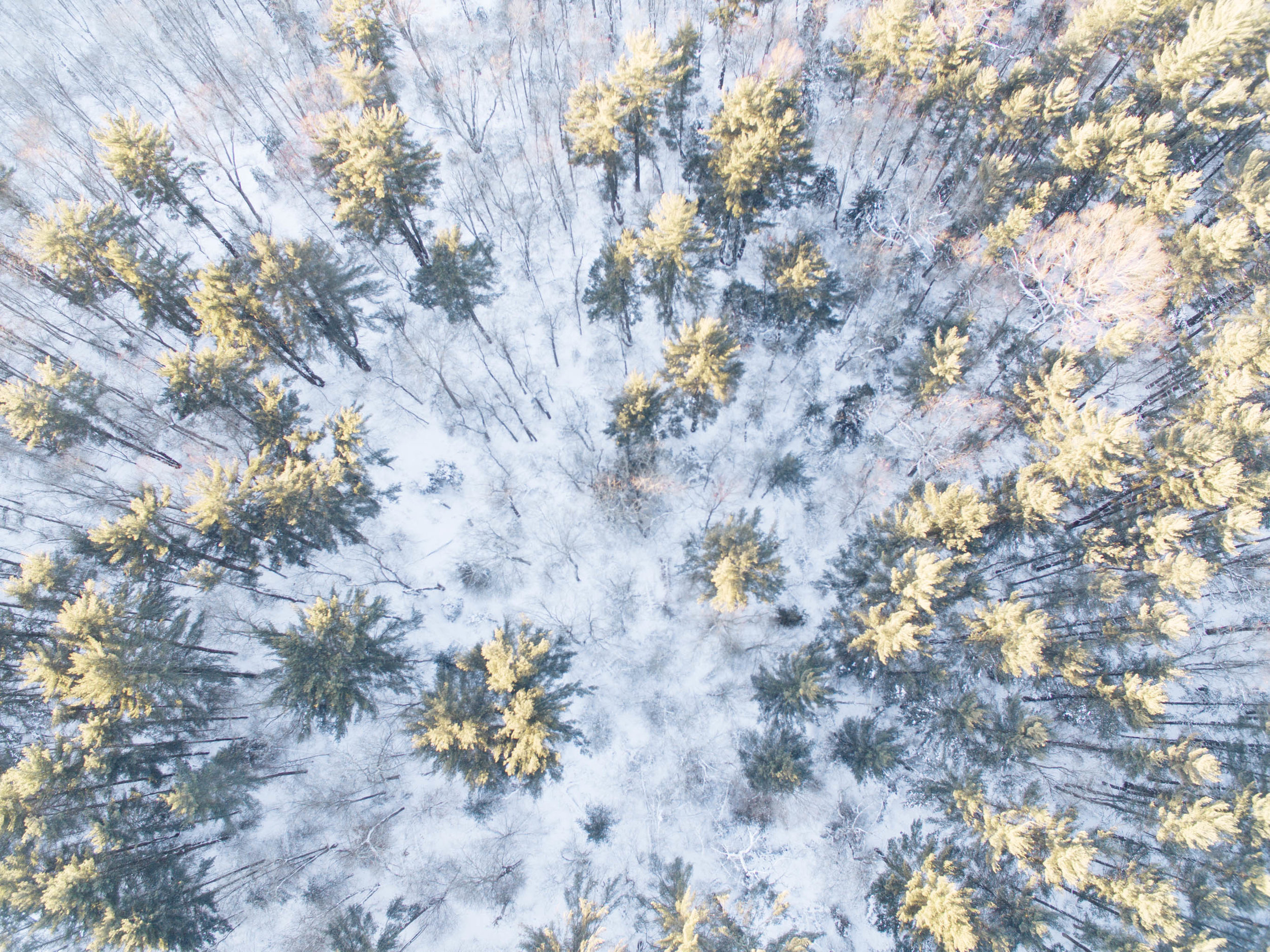 DJI_0212-Edit.jpg
