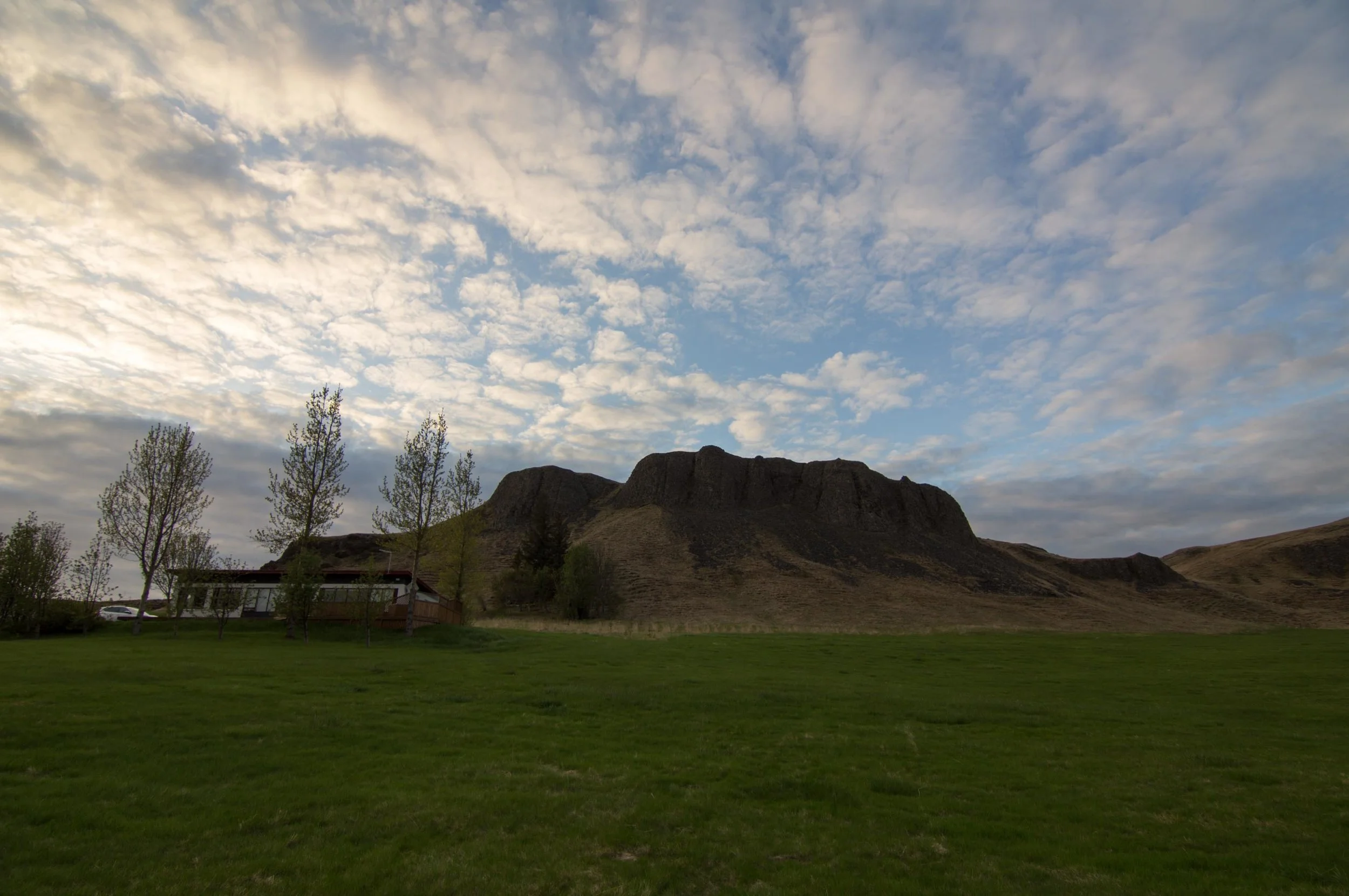 DSC03764.jpg