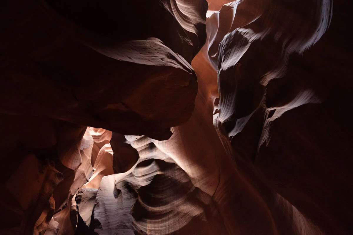 DSCF5920.jpg