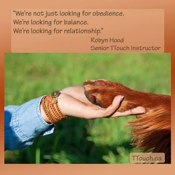 Image: “We’re not just looking for Obedience. We’re Looking for Balance. We’re Looking for Relationship.”