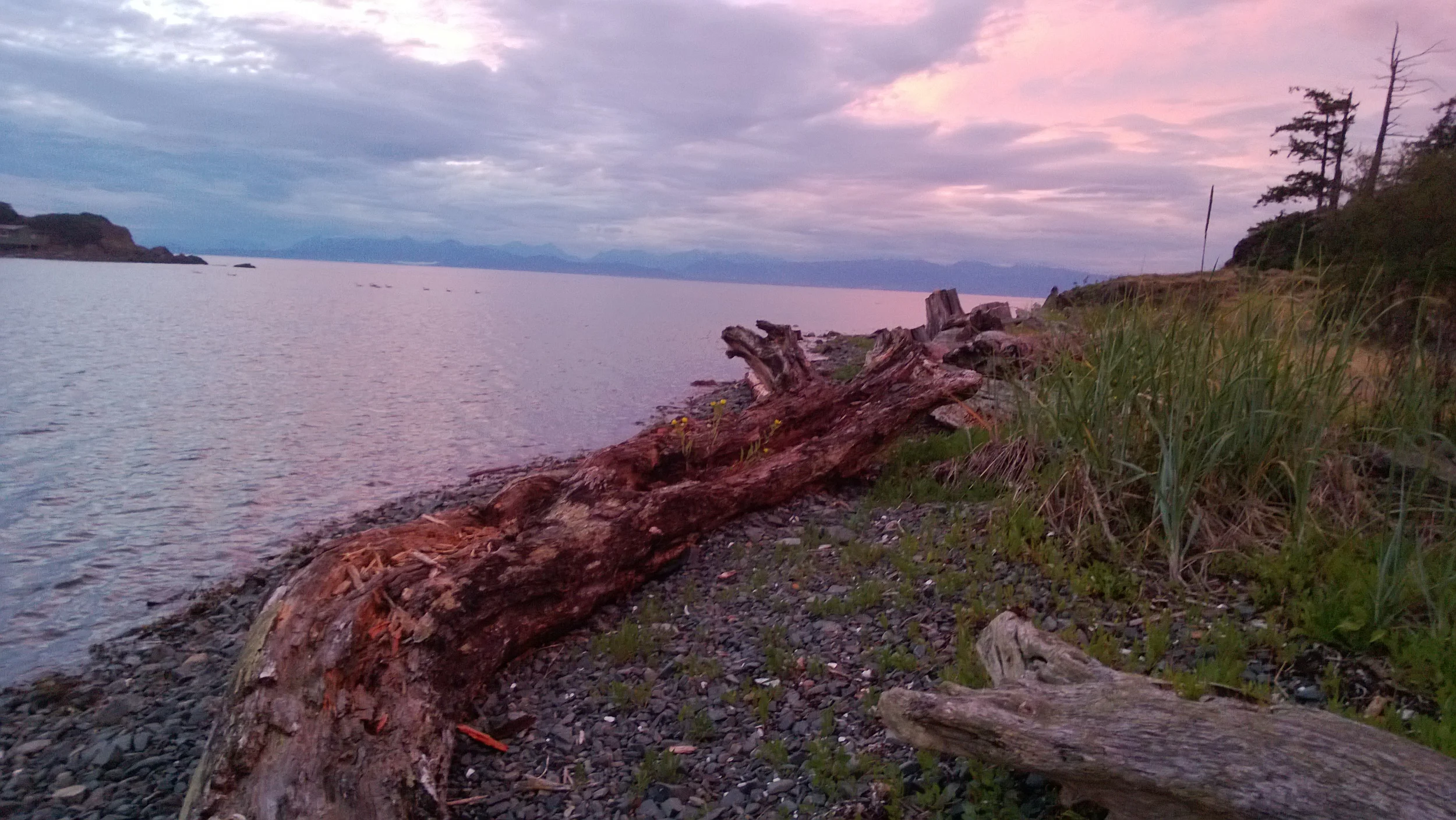 WP_20130628_008.jpg