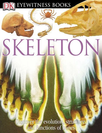 Books DK Eyewitness Skeleton.jpeg