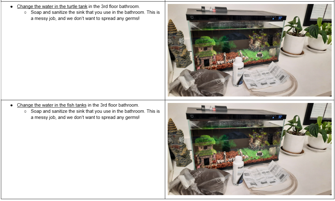 Service Learning Options 03.png