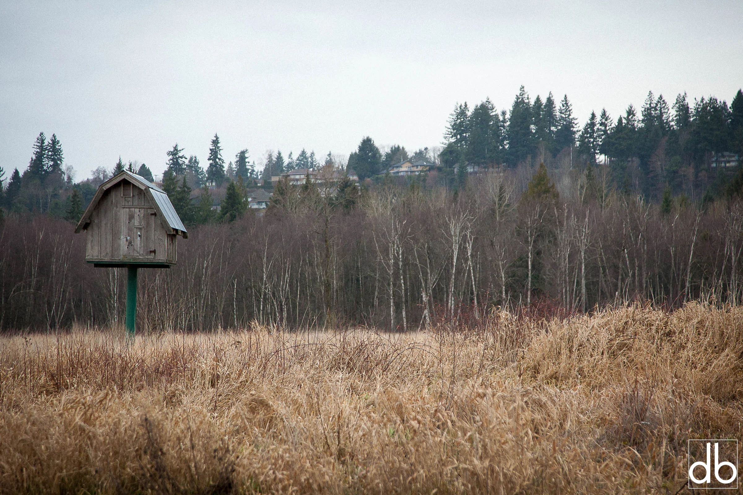 _MG_9778.jpg