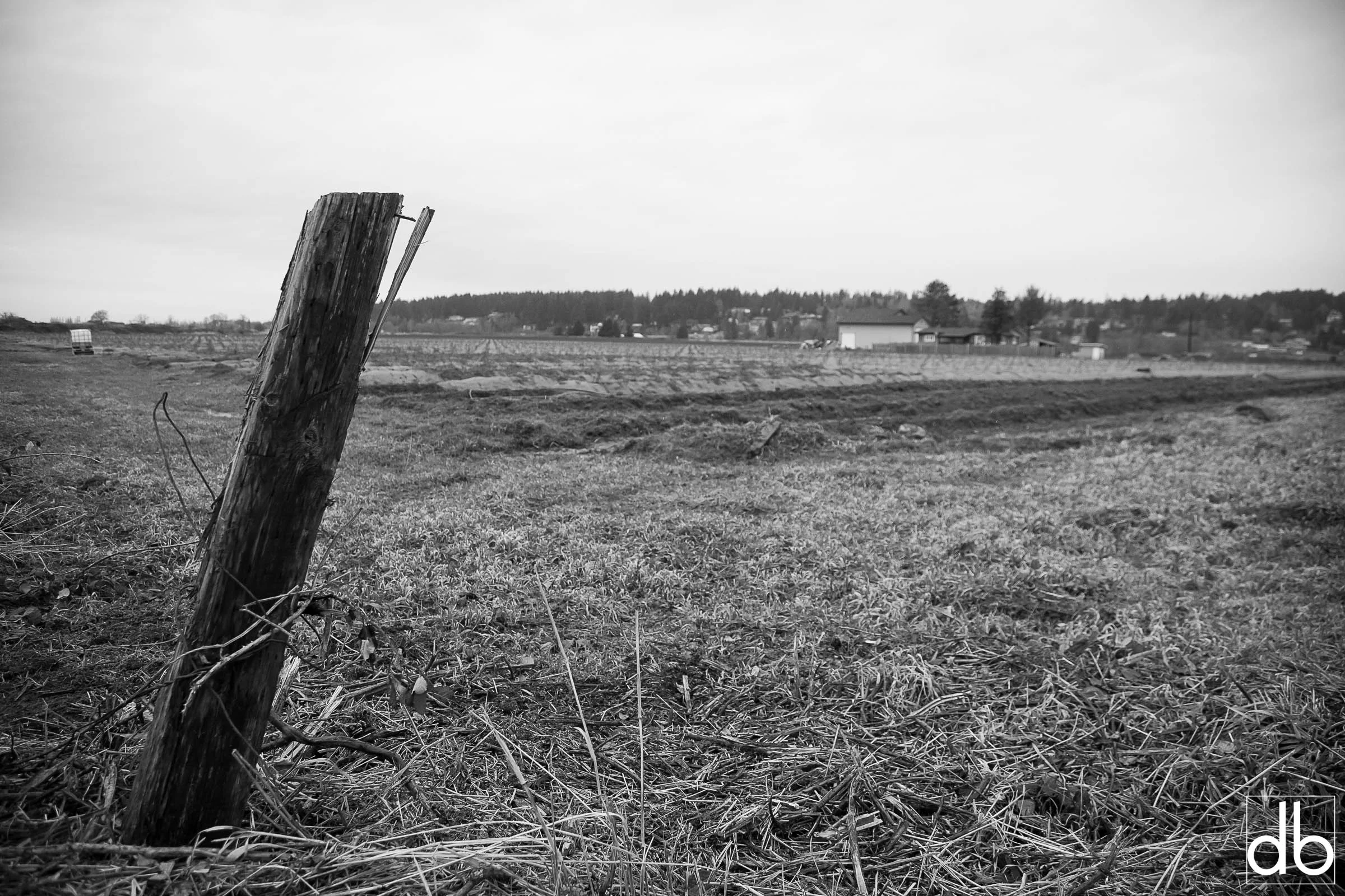 _MG_9766.jpg