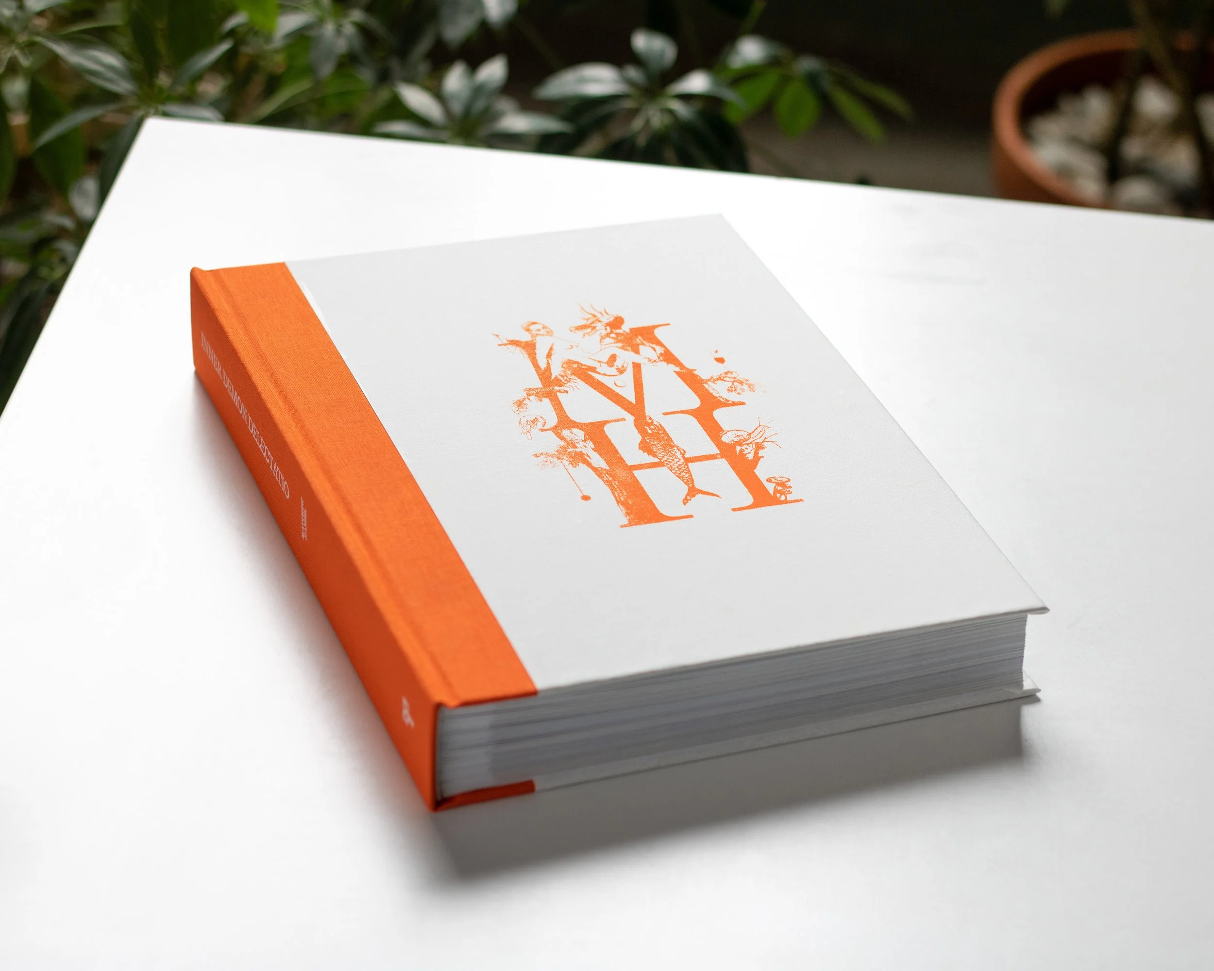 Hanselbook_firstroundPics_04 copy.jpg