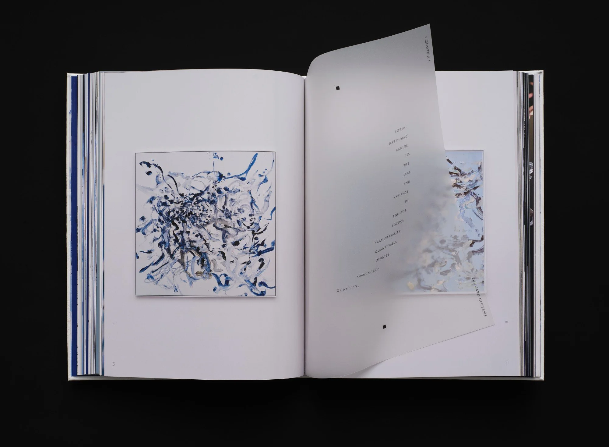 250417_ecologies_of_being_interior_6.jpg