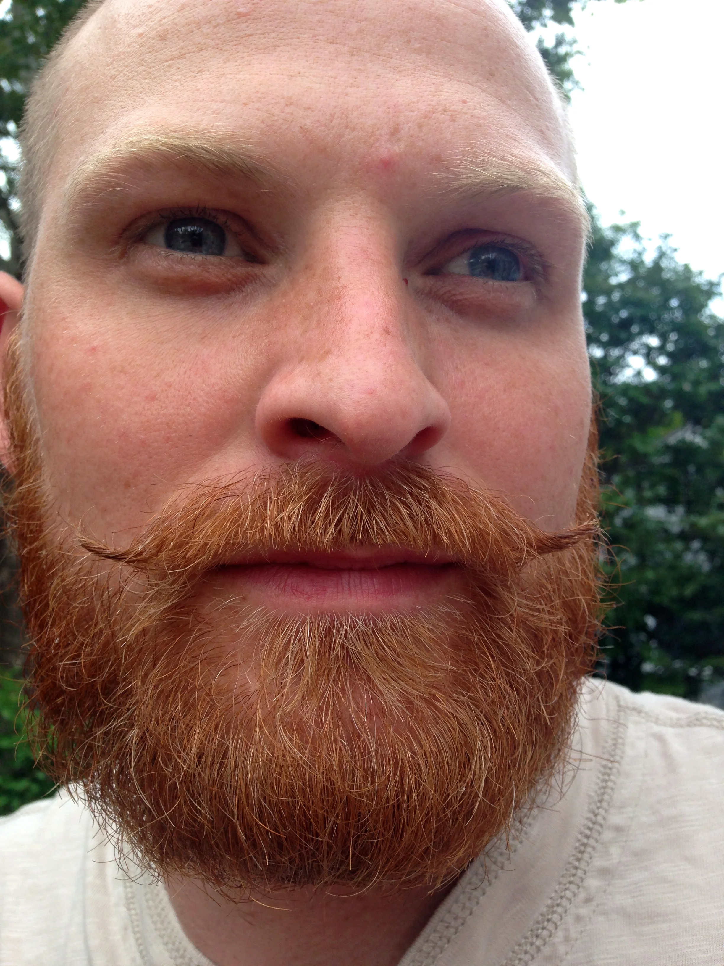 Sunday Night With John: Dingleberries