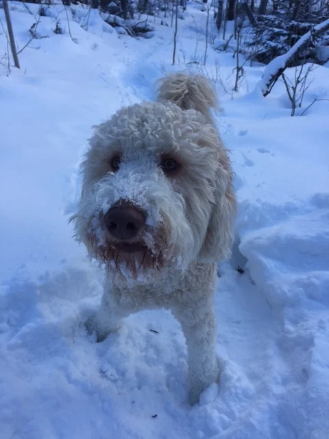 Sunday Night With John: My Late Night Winter Break Moment 