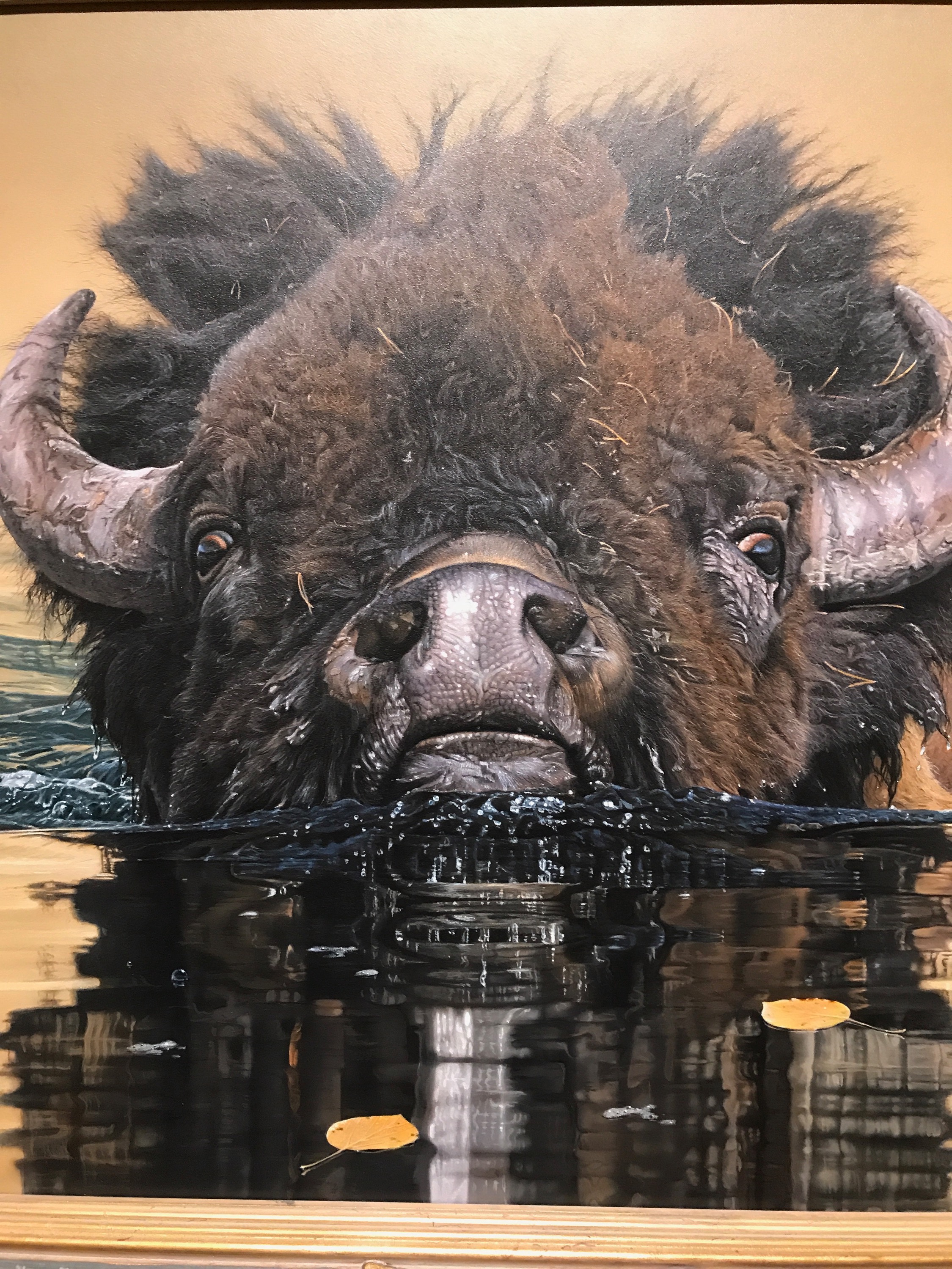 SNWJ: How Do I Apply For a Spirit Animal Without Stealing From The Native American Culture?