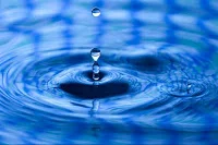 SNWJ: Internet-Drops of Positivity in an Ocean of Hate