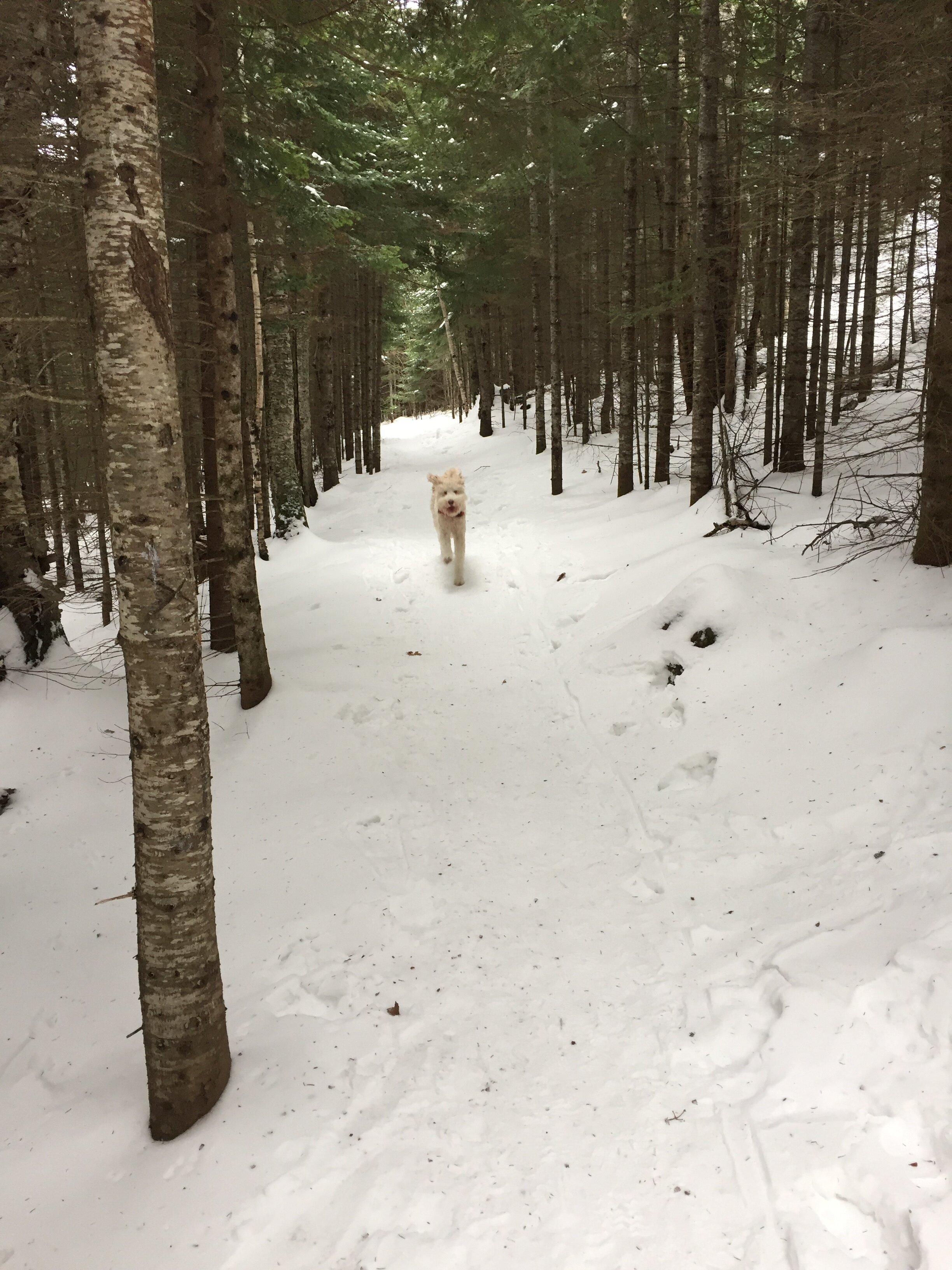 Let It Snow, Let It Snow, Let It Snow 