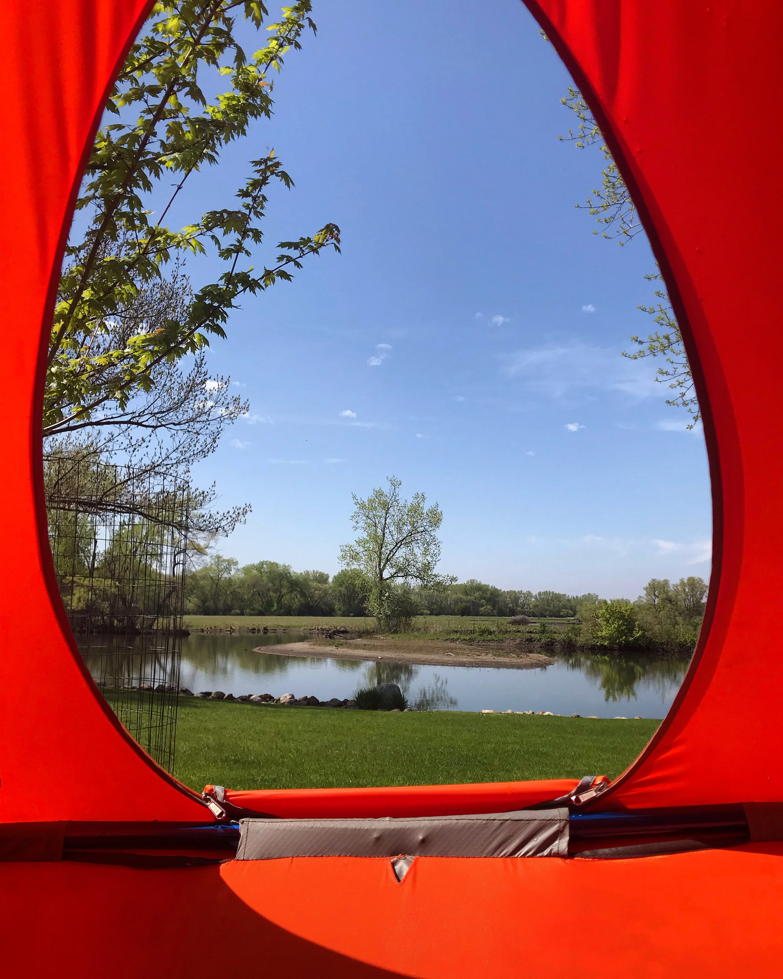 Swinging From A Tree Pod 