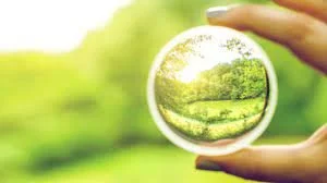 Retrospective Clarity 