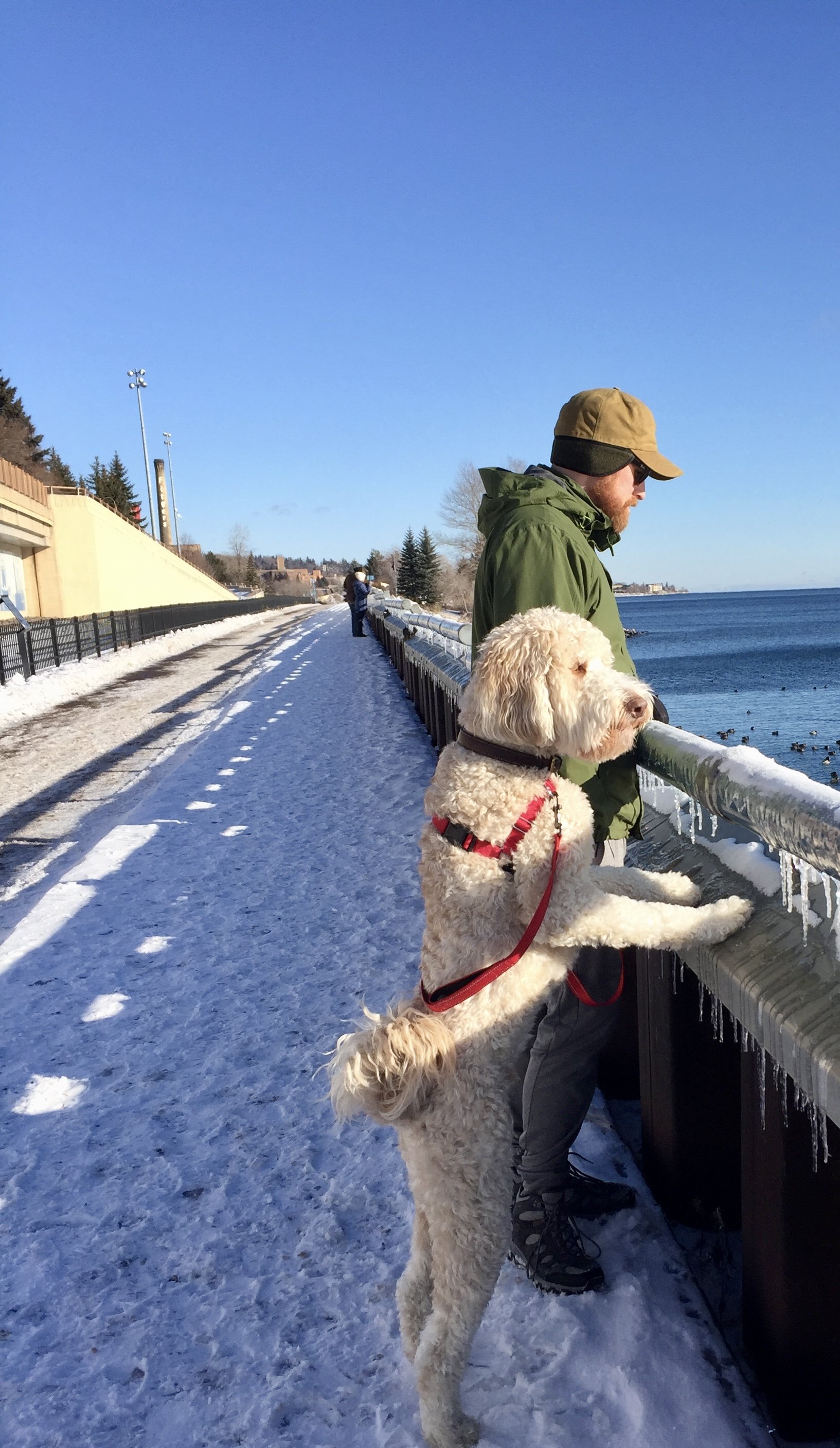 Marv, you crazy dog!