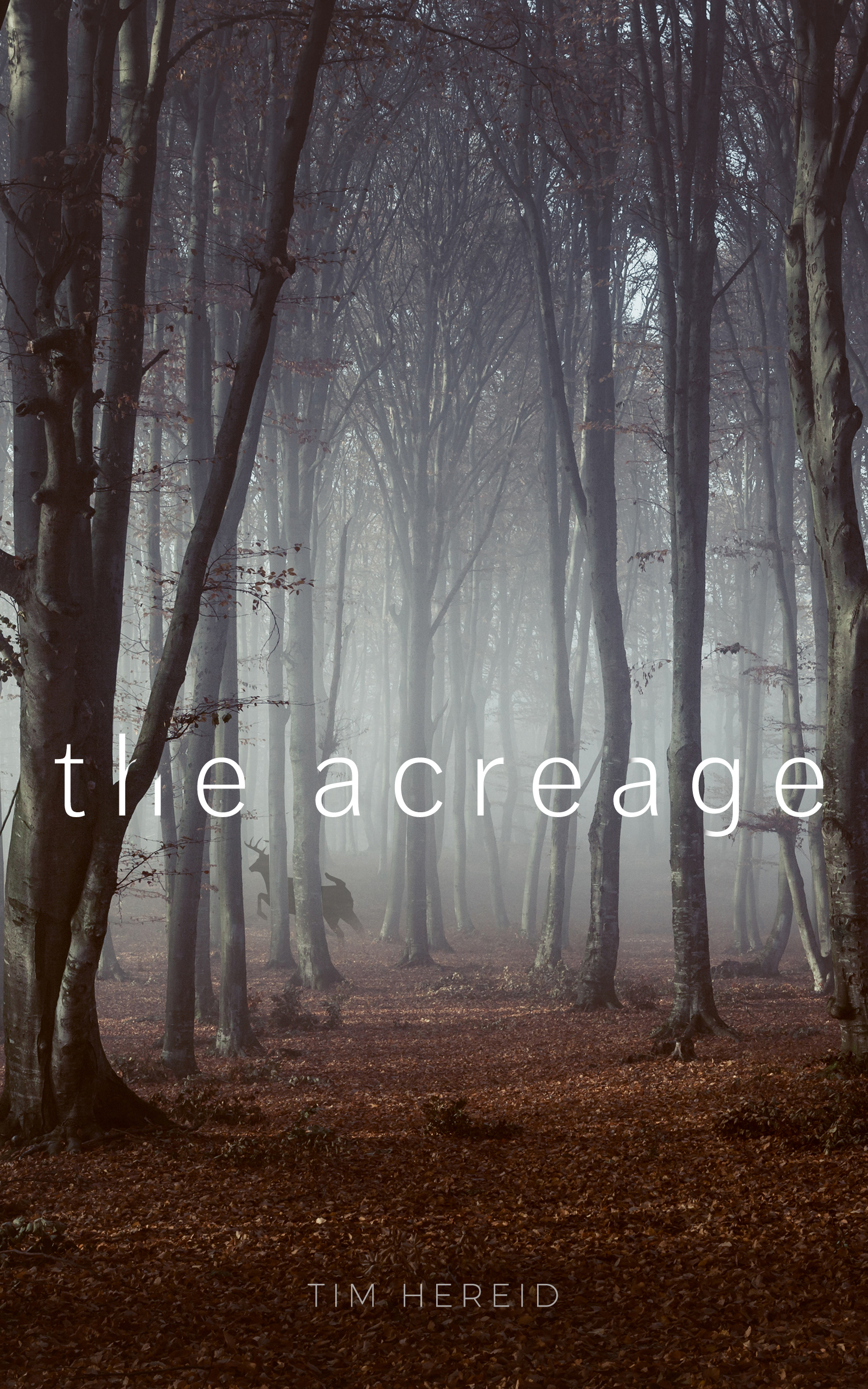 TheAcreage.jpg