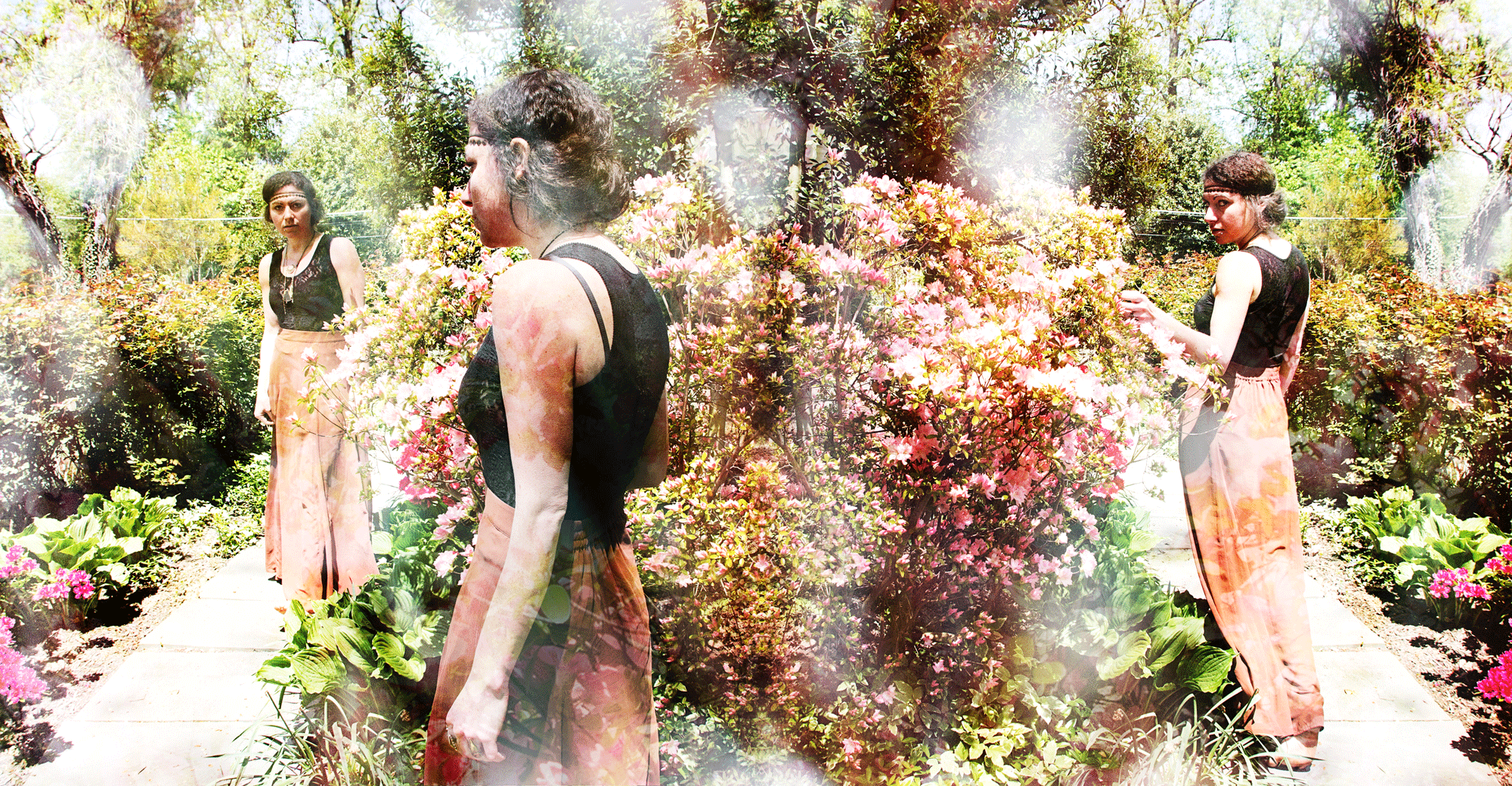 6.gif