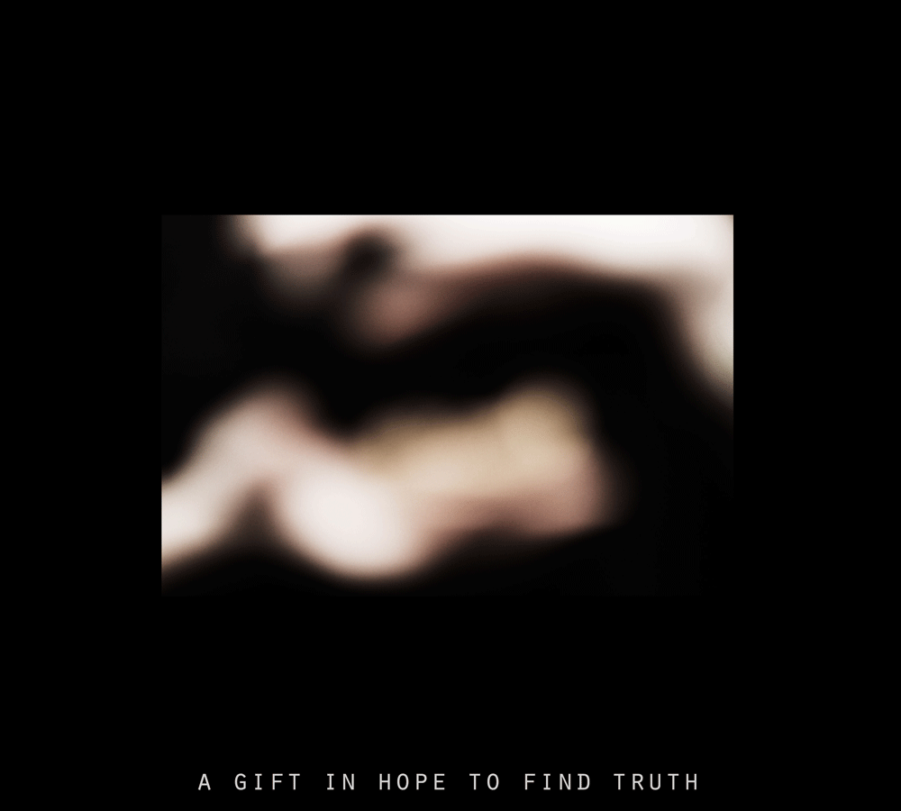 17.gif