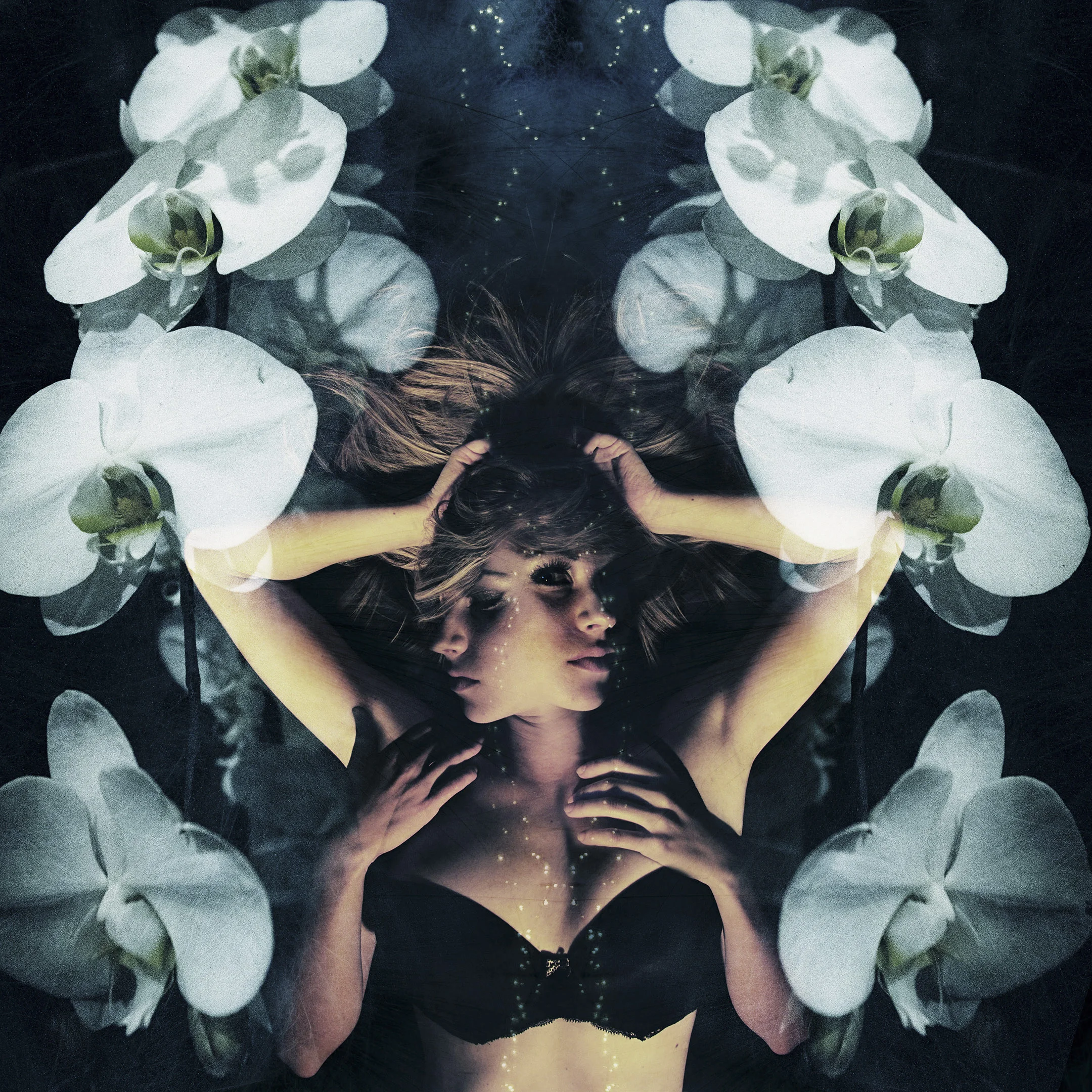 floral07.jpg
