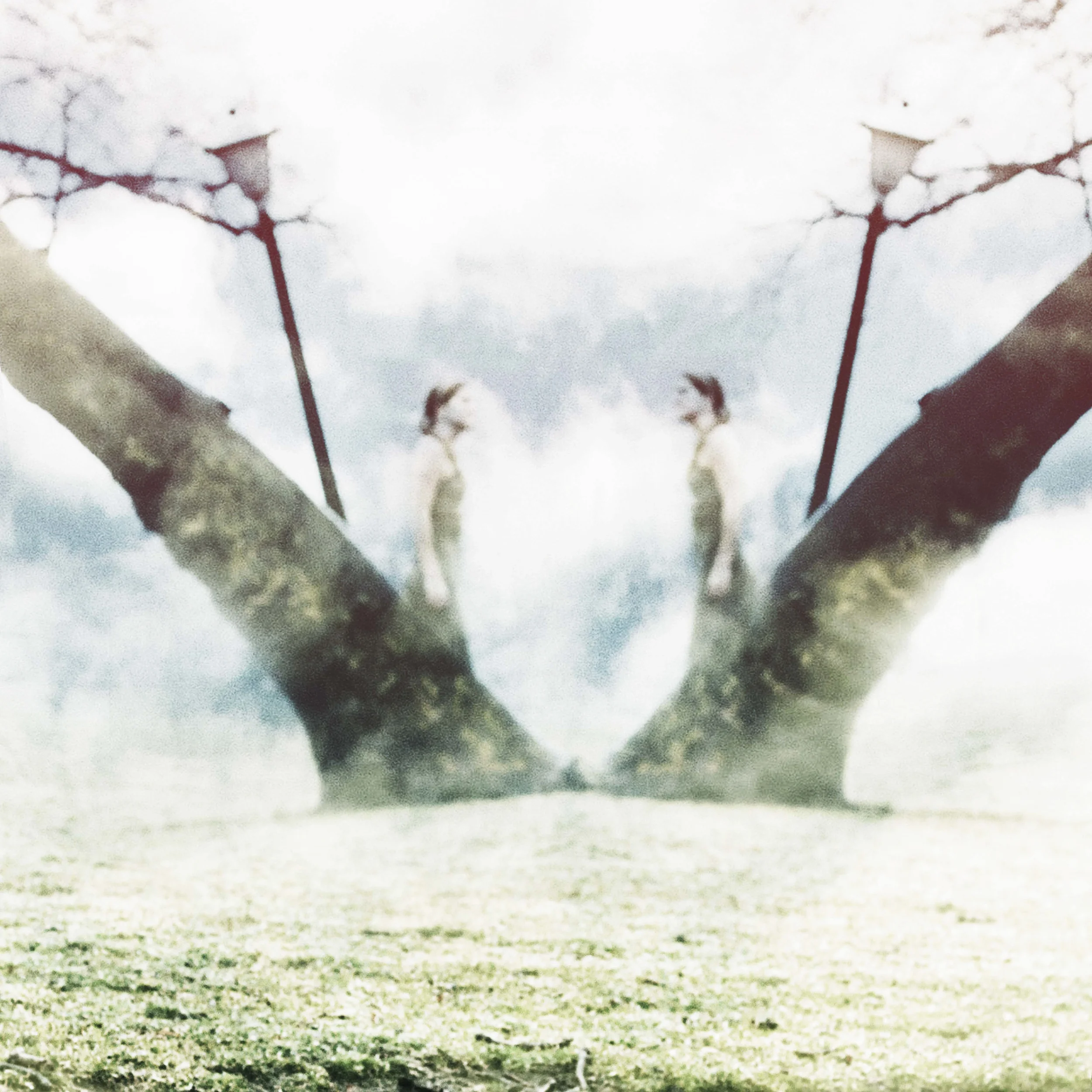Fog Lifters14.jpg