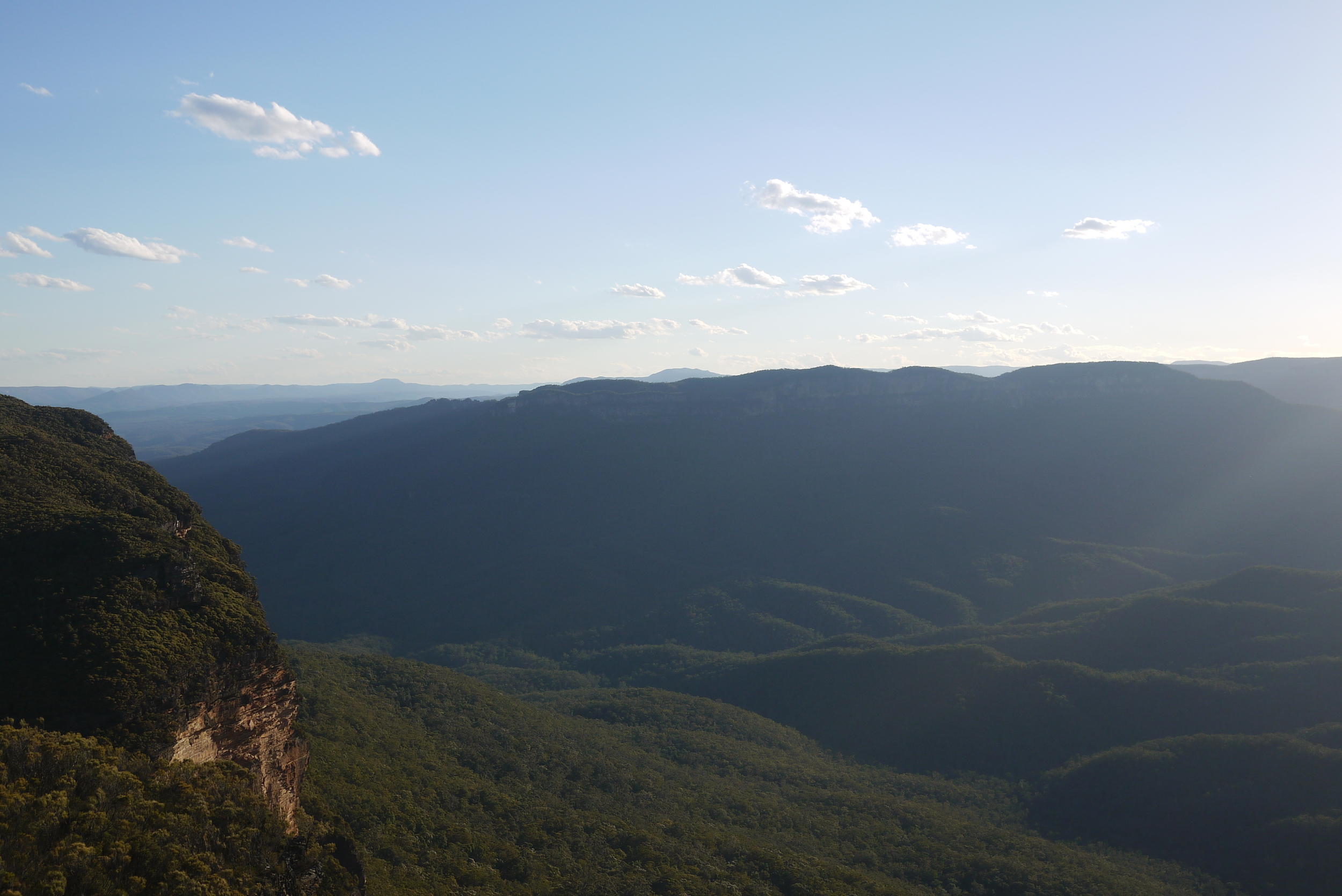 the blue mountains | sally mussellwhite