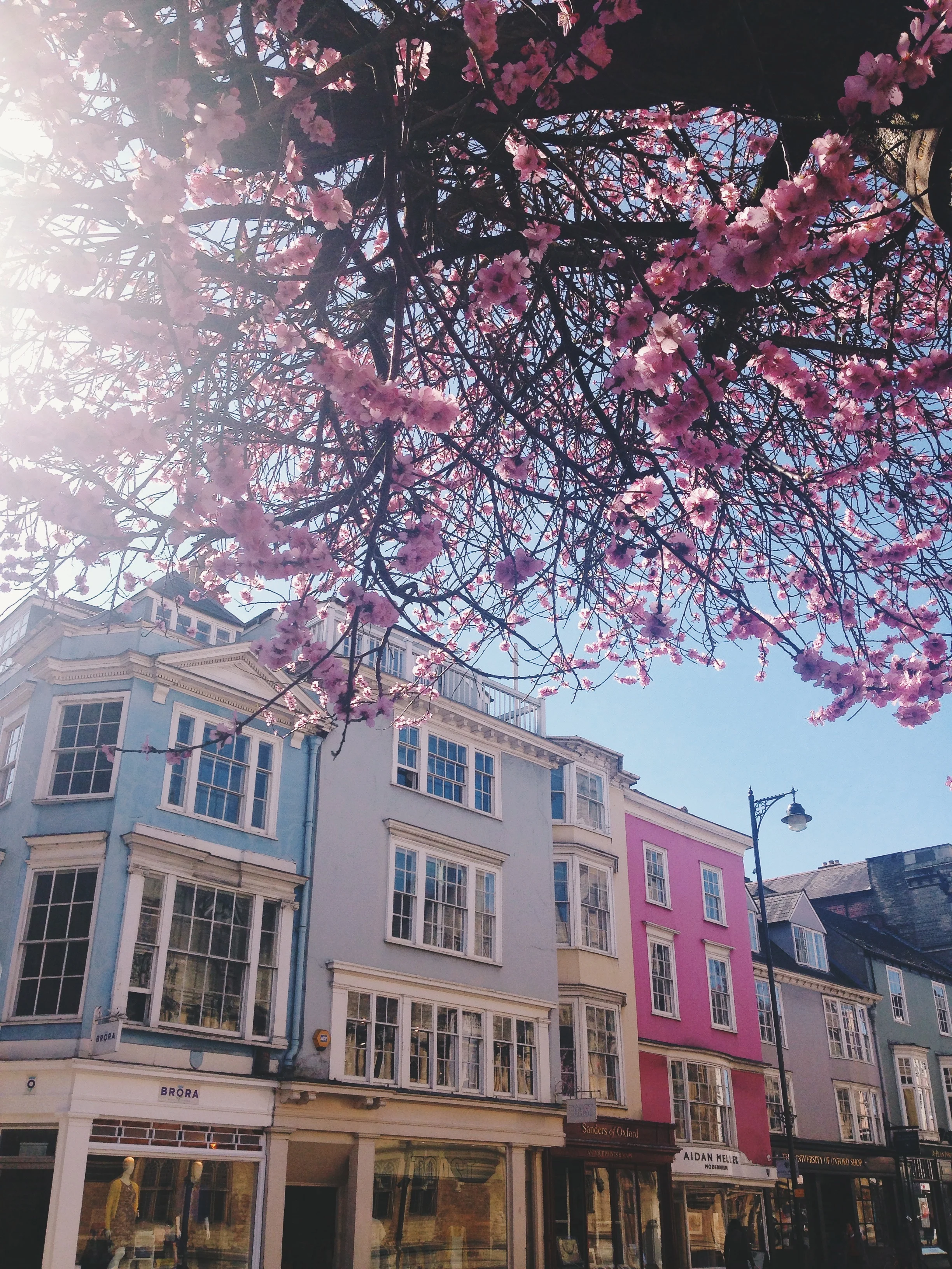 oxford in the spring | sally mussellwhite