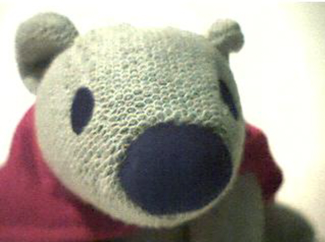 stuffedbearclose.jpg