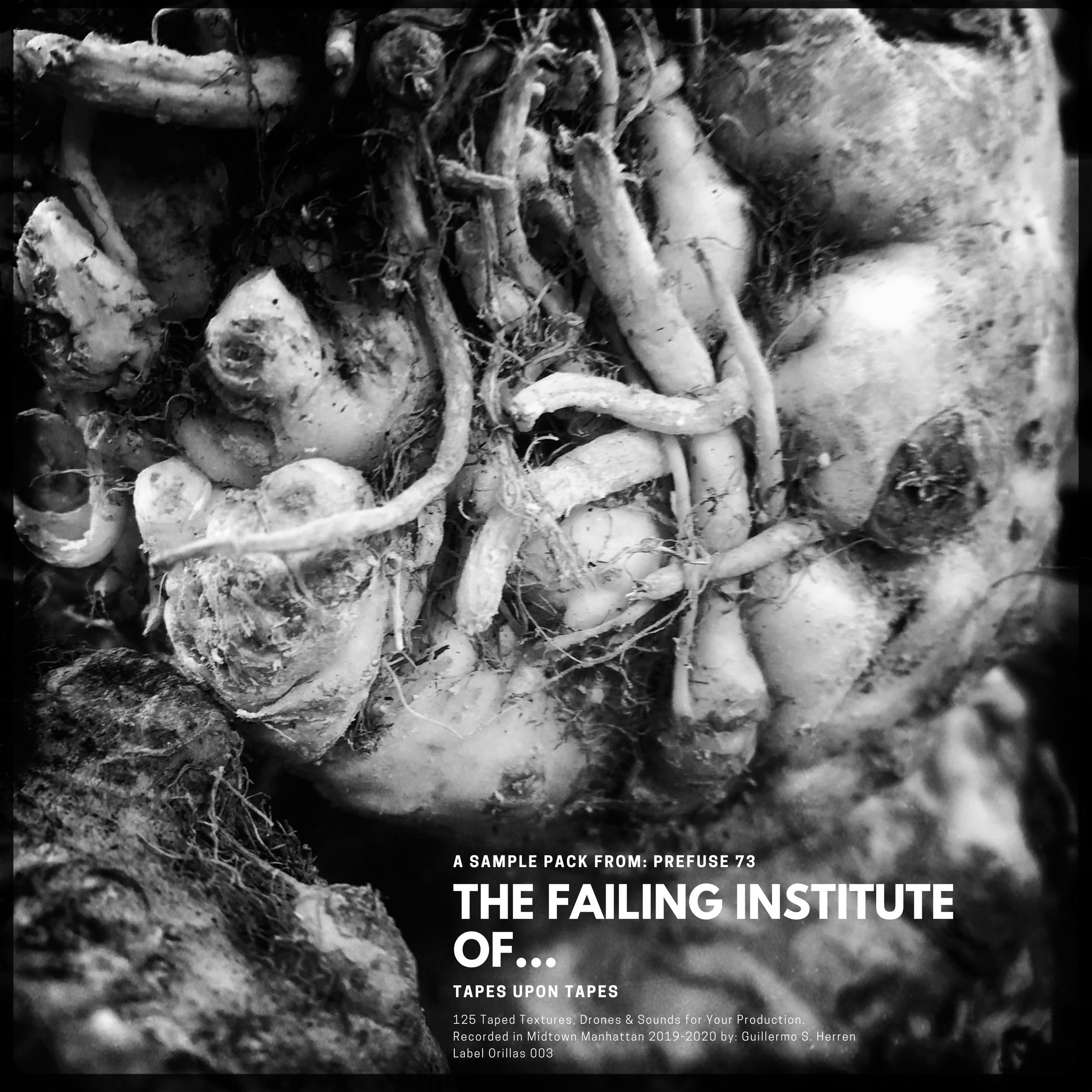 Copy of THE FAILING INSTITUTE OF....png