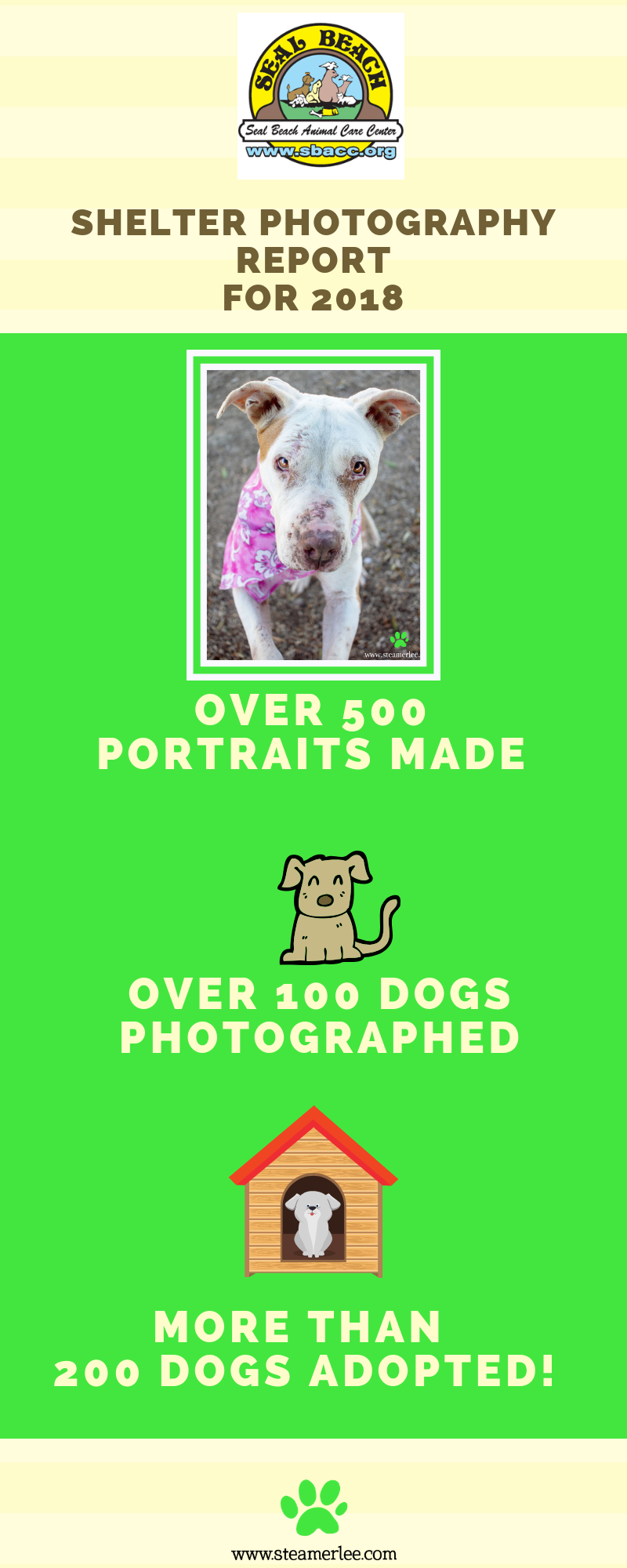 the puppy project.png