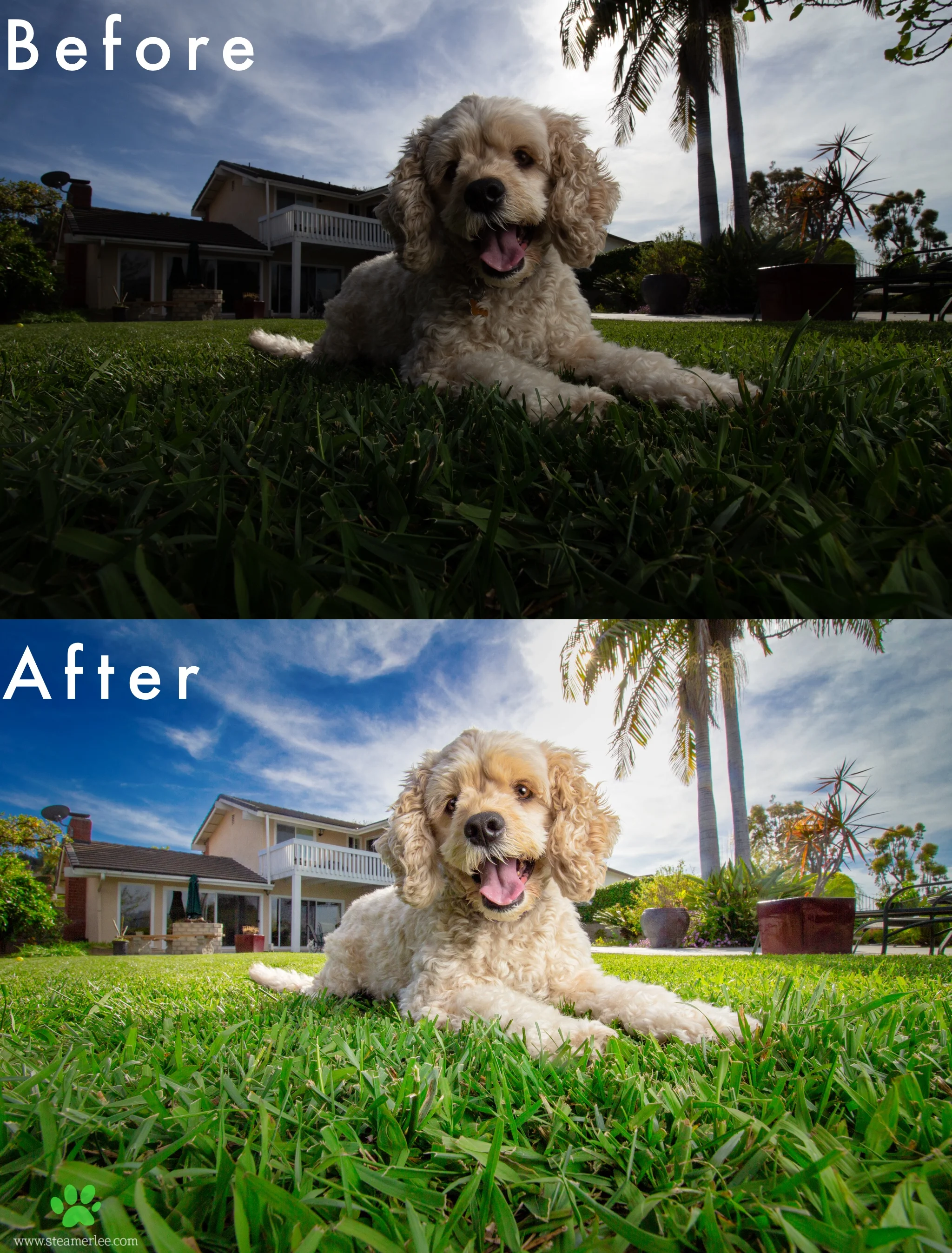 First image is Straight-Out-of-Camera (SOOC). The wonderful magics of shooting in RAW allowed me to still come out with the second image.