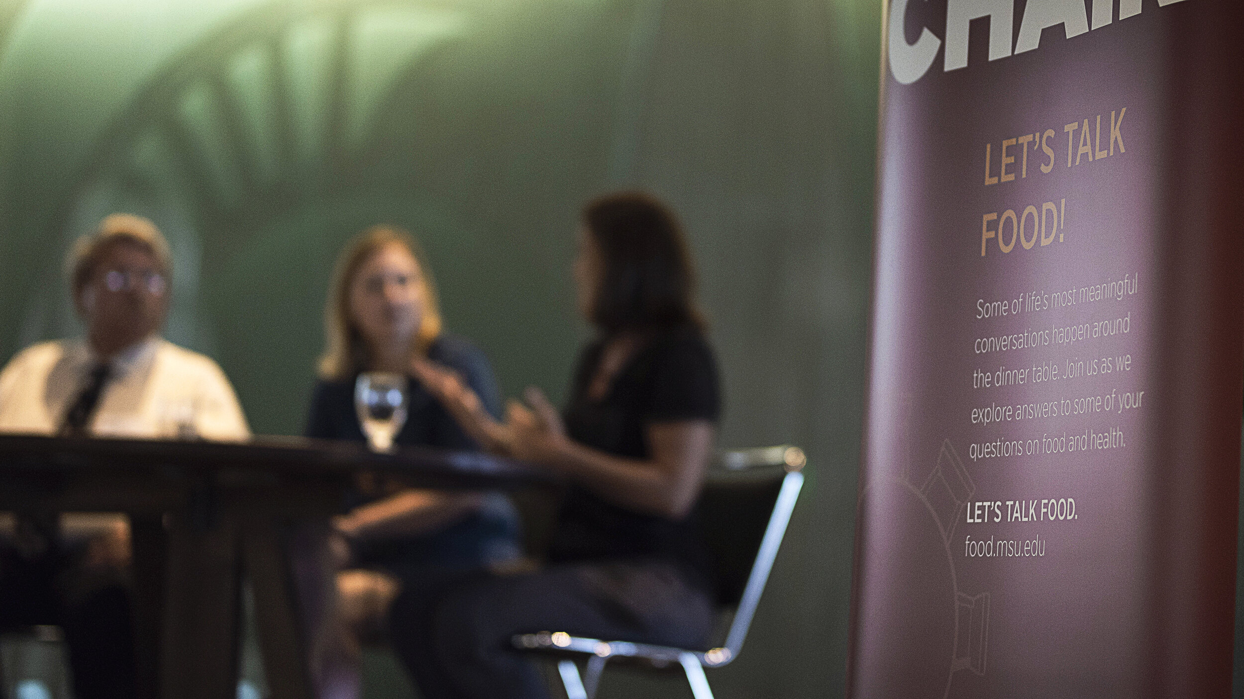MSU_ Conference_06_2018_069.jpg