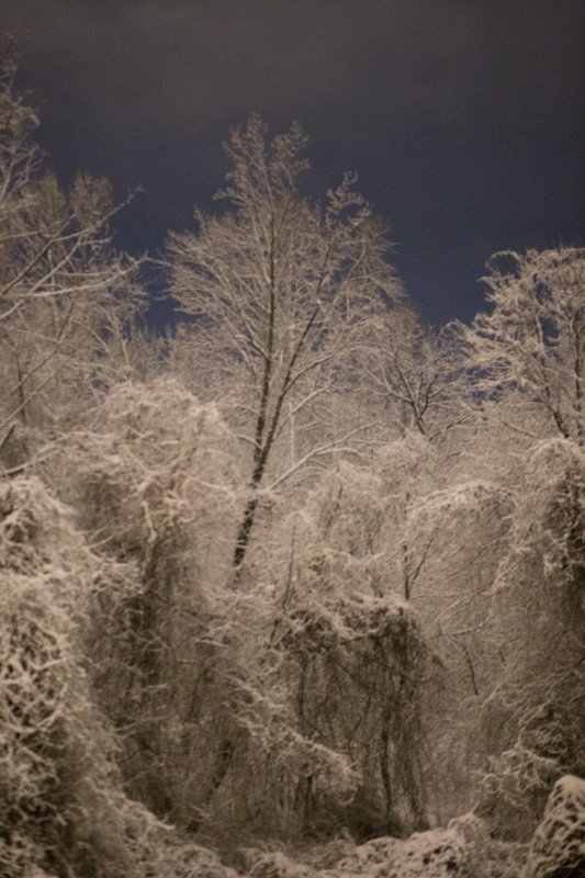 Our backyard during one of the many snow storms this winter.