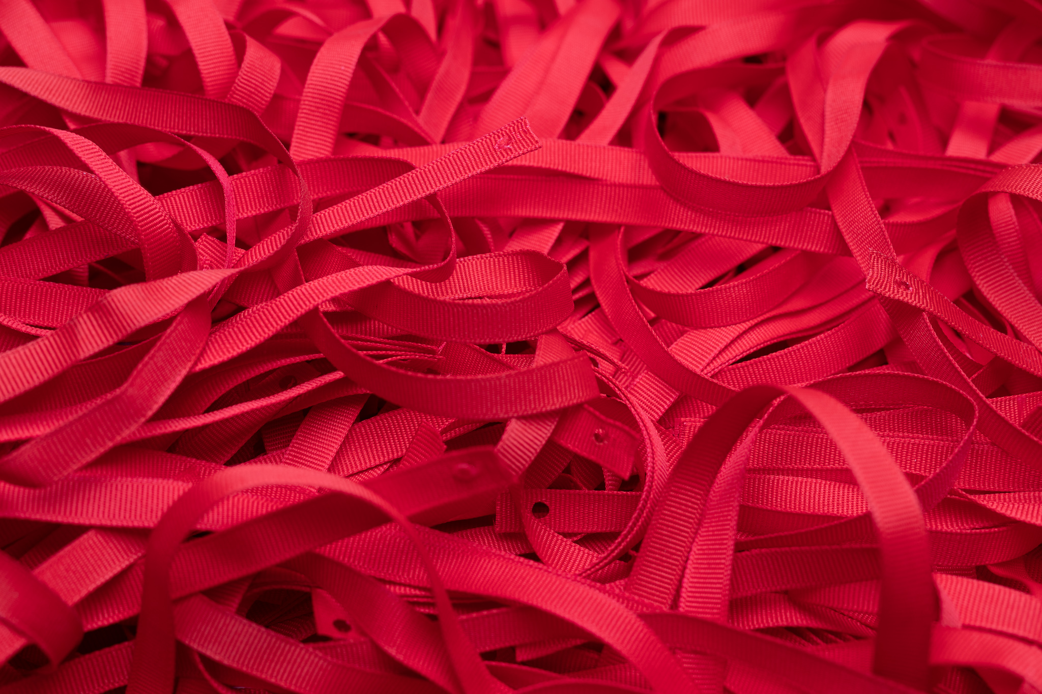 Red_Cal_Ribbon.jpg