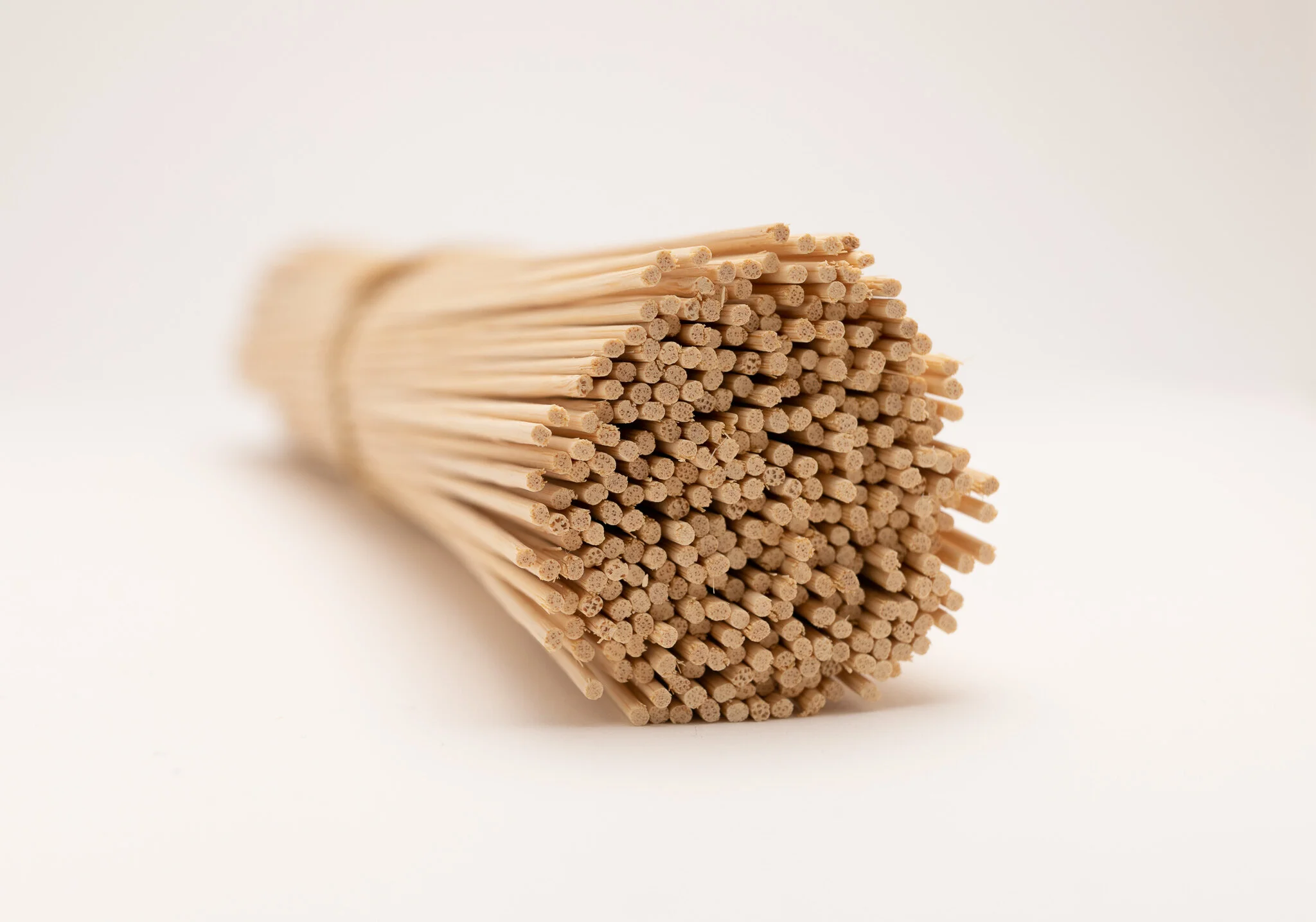 Bamboo.jpg