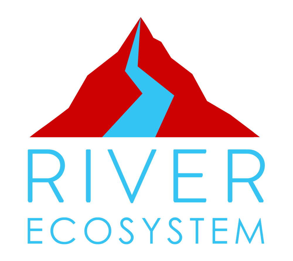 river_ecosystem.png