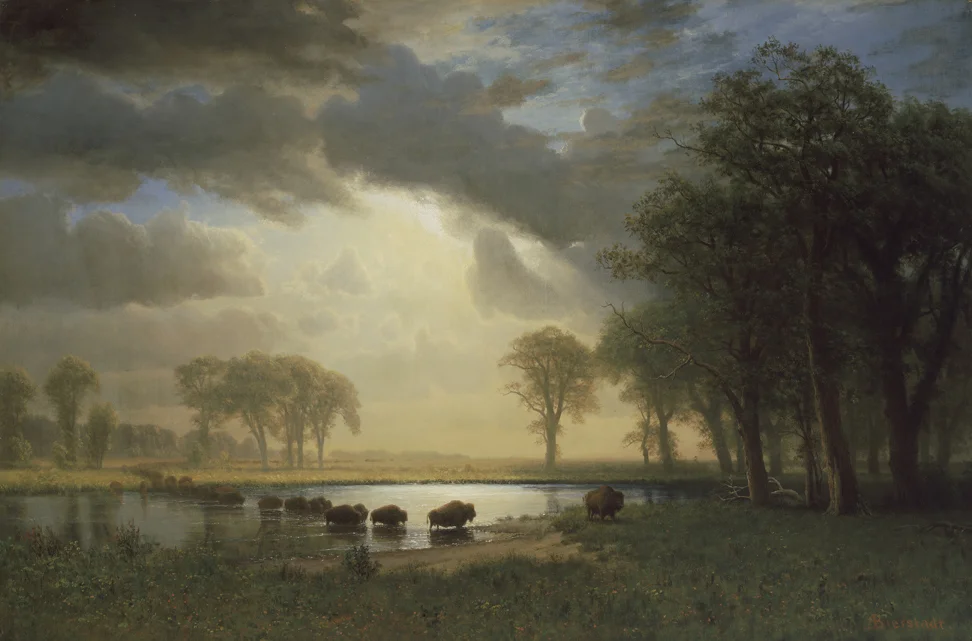 Buffalo Trail, Albert Bierstadt, 1867