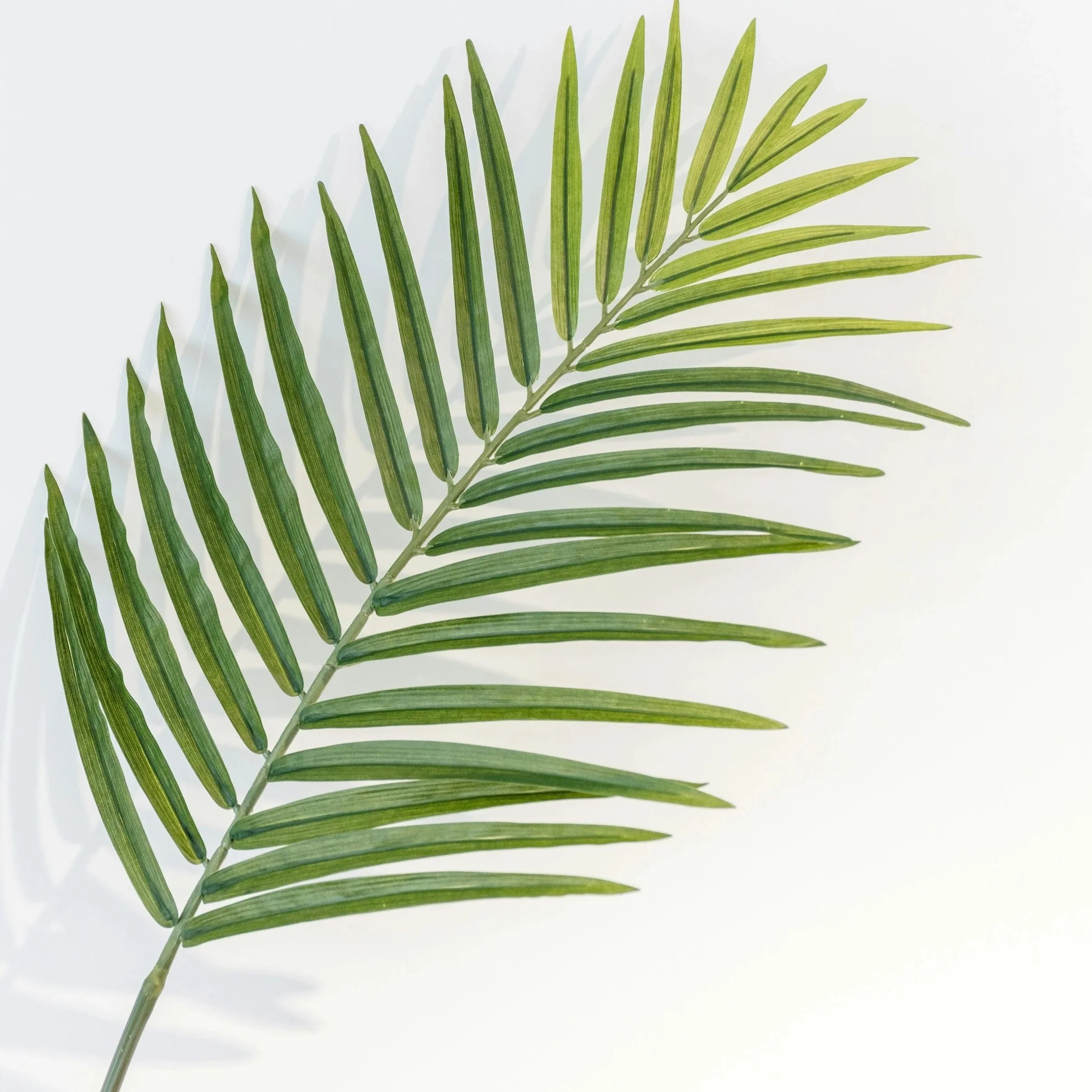 Palm Sunday Sanctuary Service with Communion - Lent 6