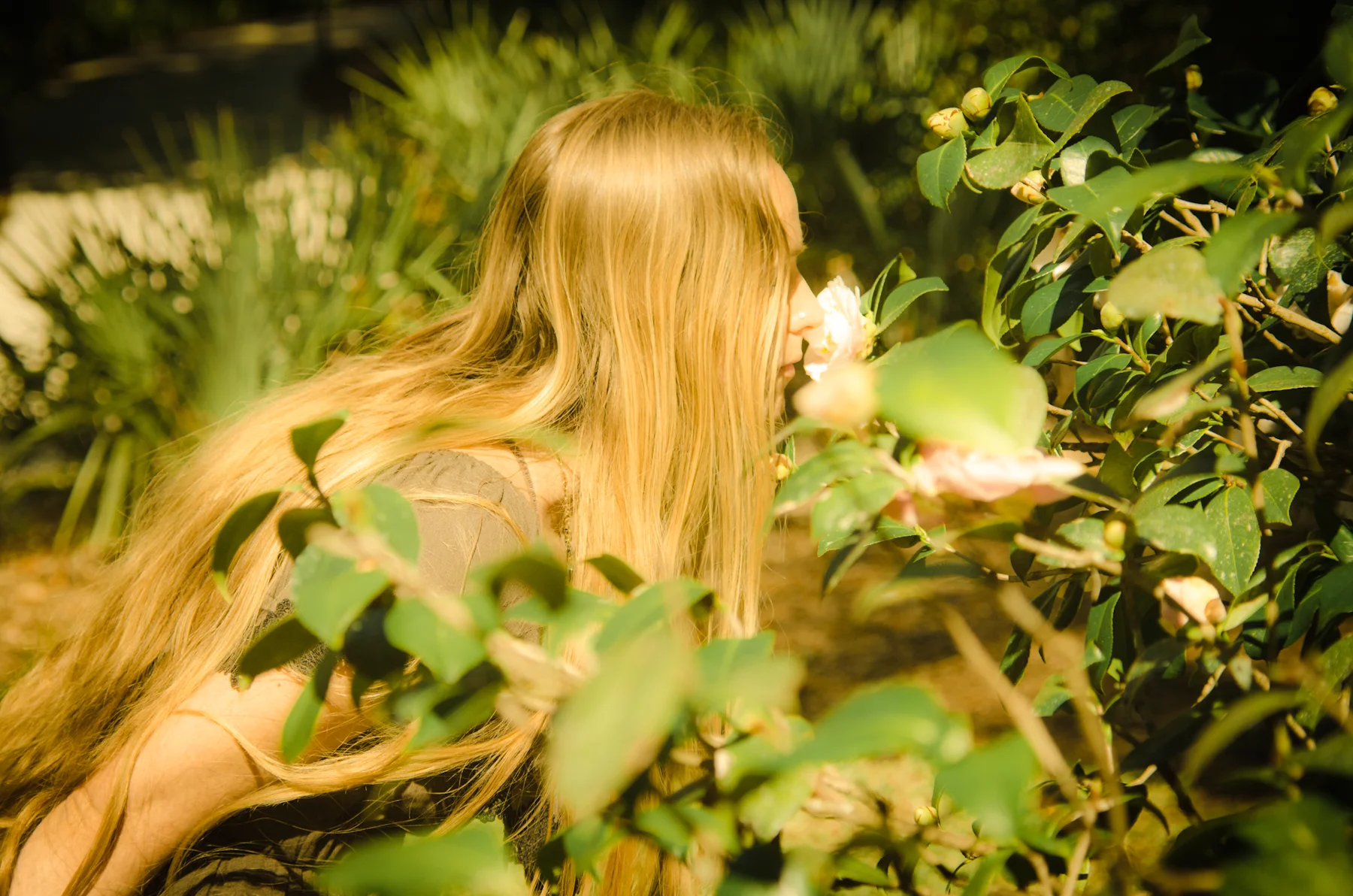 Be witness to the beauty around you!