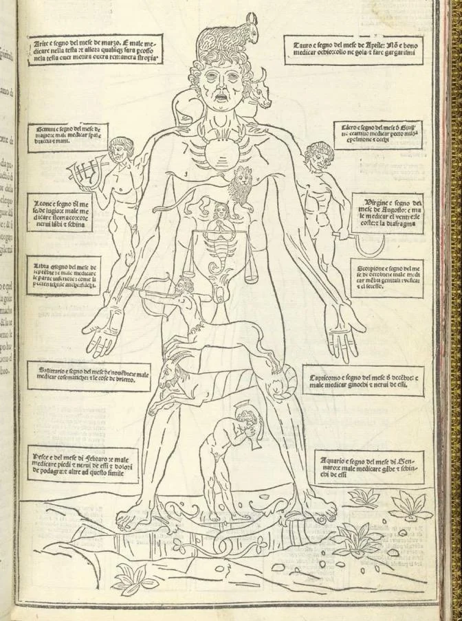 Zodiacal-Body-672x904.jpg