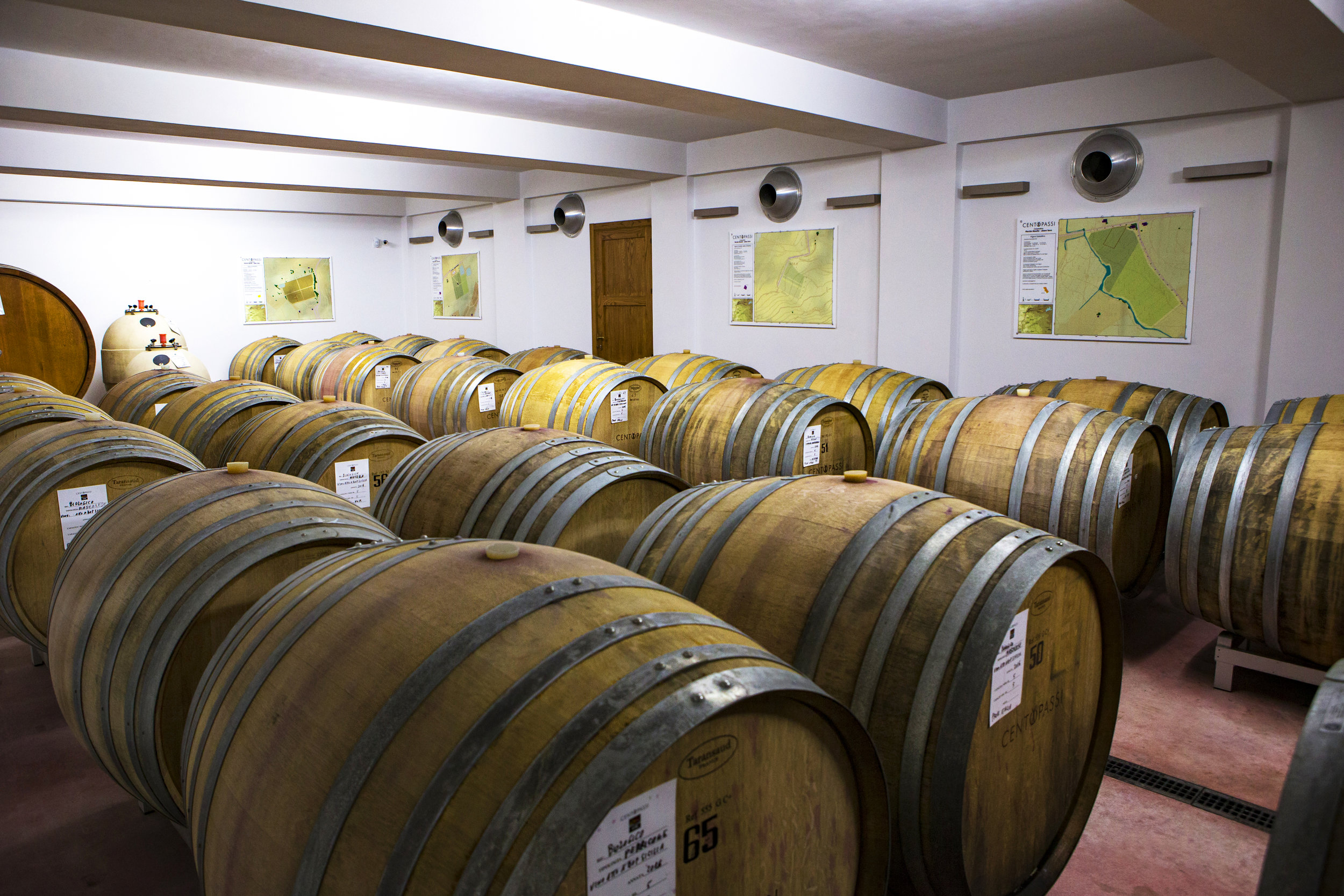 WINERY 1 Ph © Giorgio_Salvatori.JPG