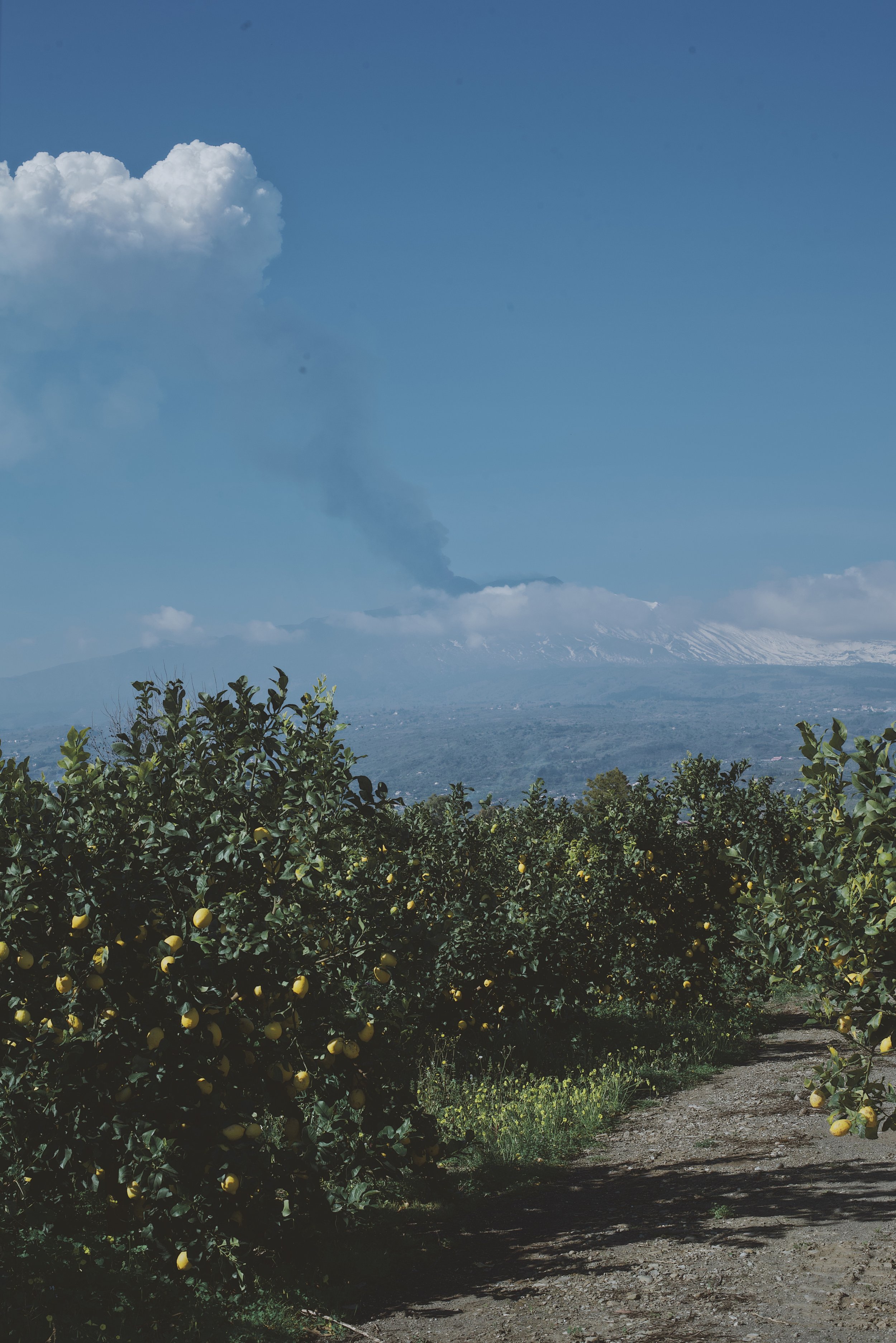 Etna.jpeg