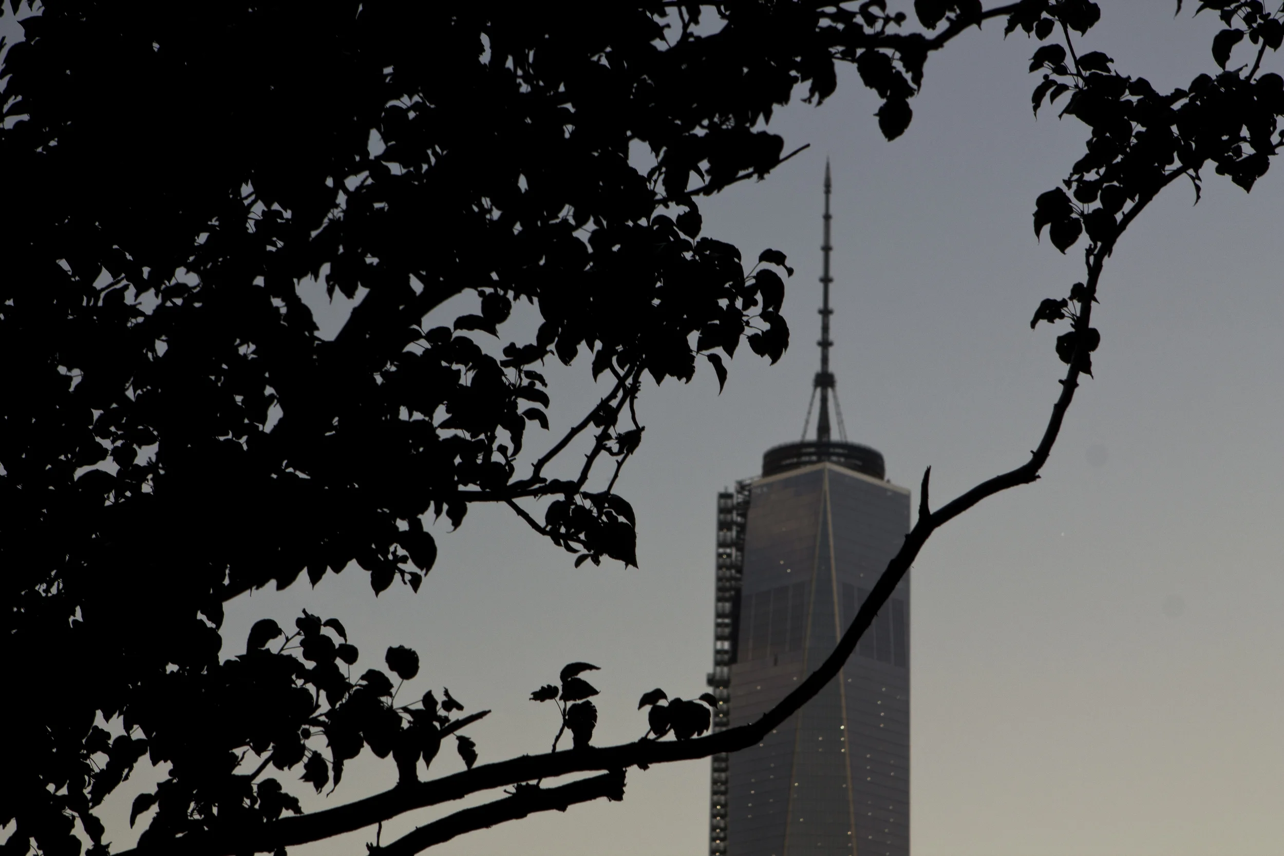 _MG_6125.jpg