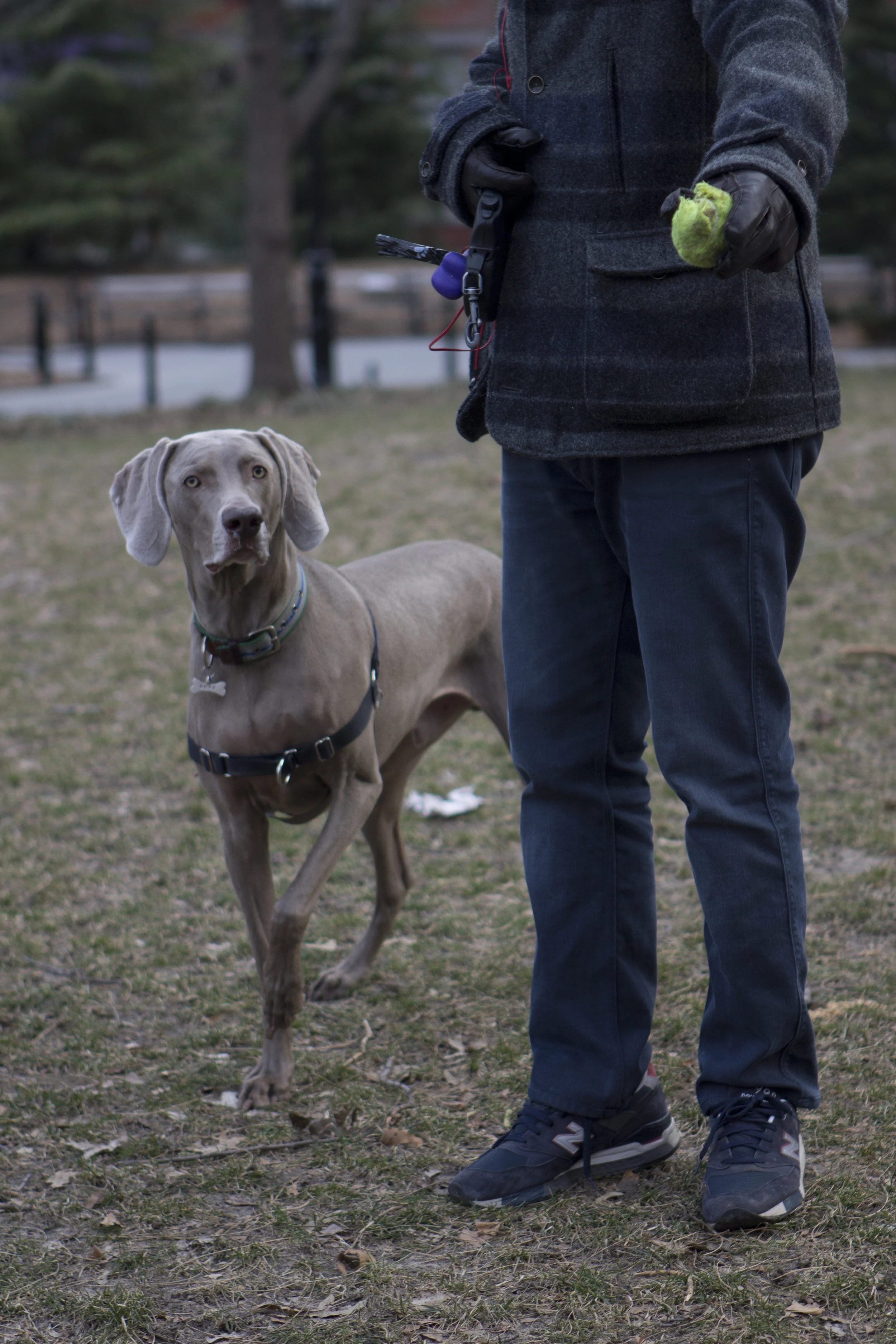 _MG_4749.jpg