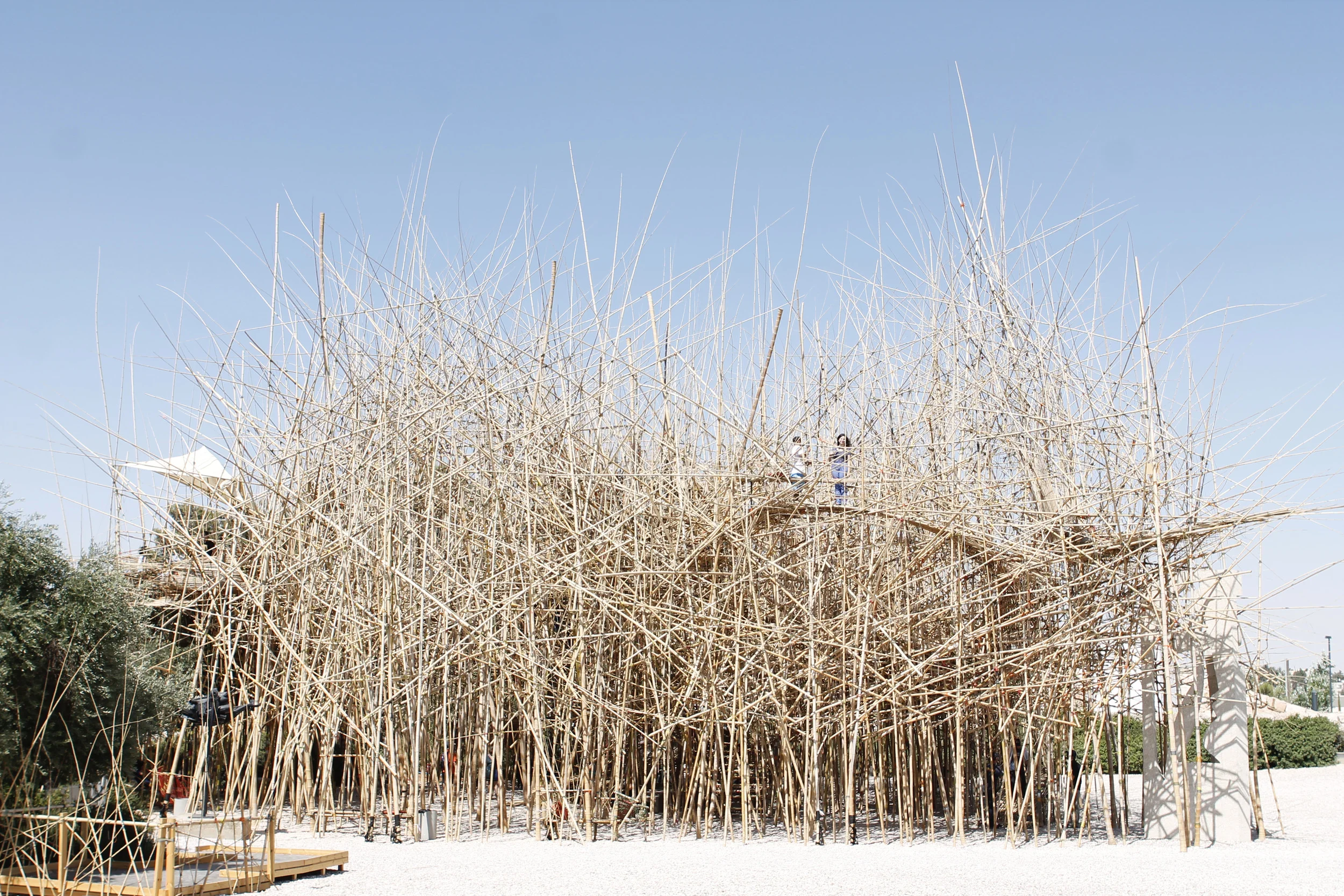 israel museum bamboo exhibit