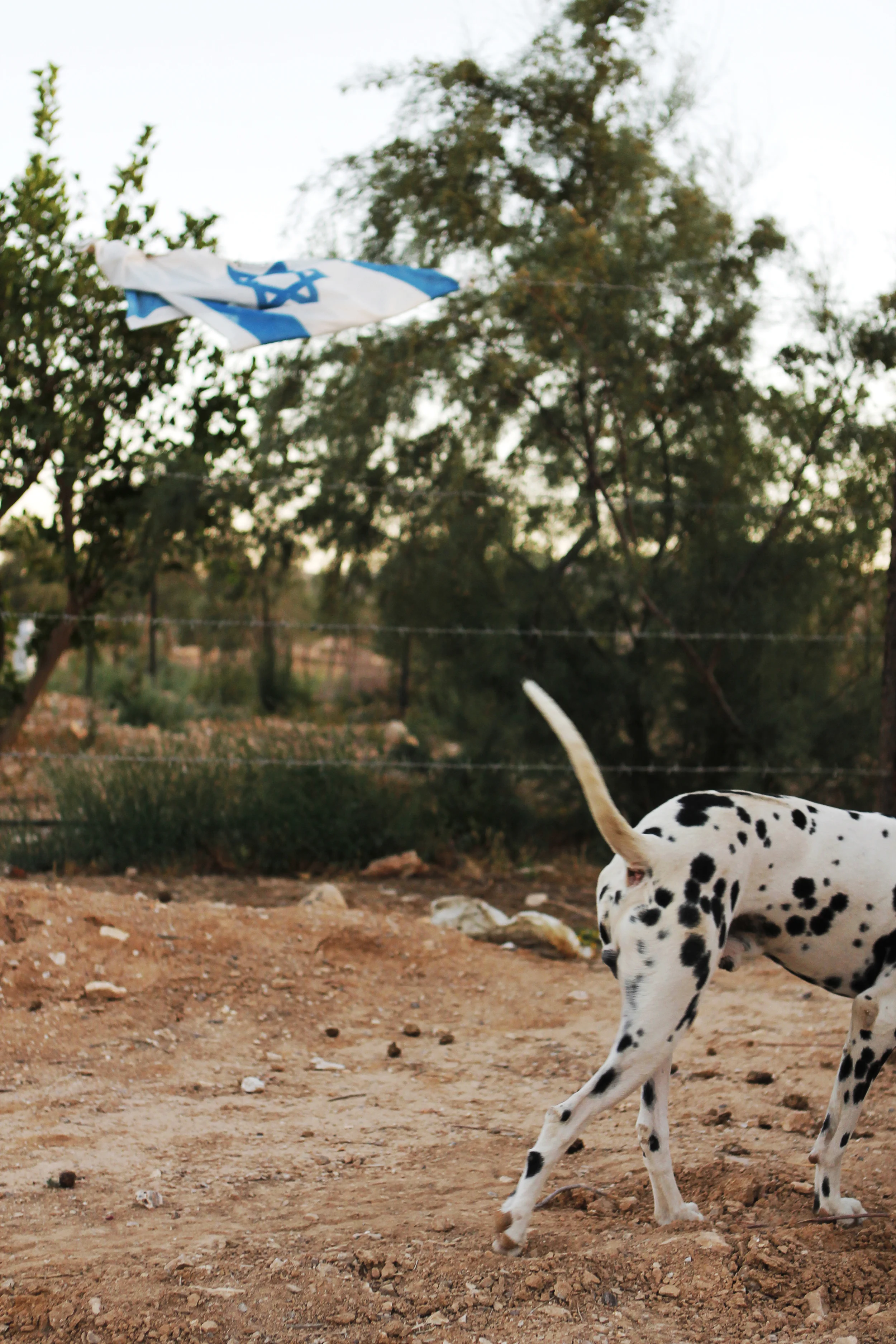 Birthright_May252014_0266 copy.jpg